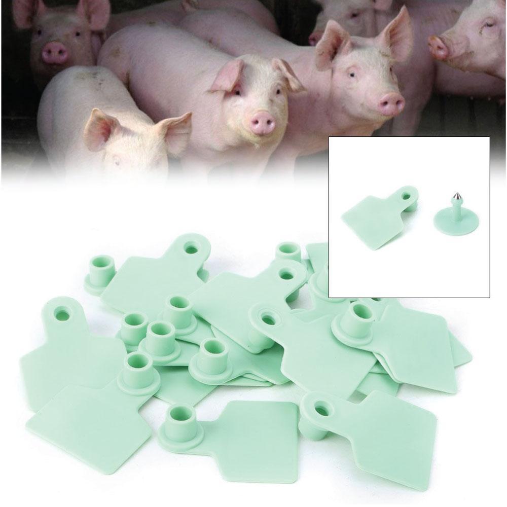 100x Cattle Ear Tags 6x7cm Set - Medium Green Blank Cow Sheep Livestock Label-1