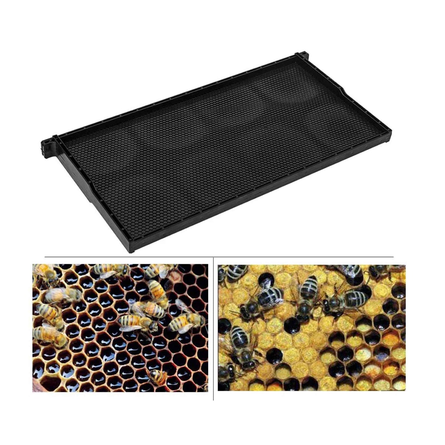 10x Beehive Plastic Frames Foundations Langstroth Bee Hive Deep Box Beekeeping-2