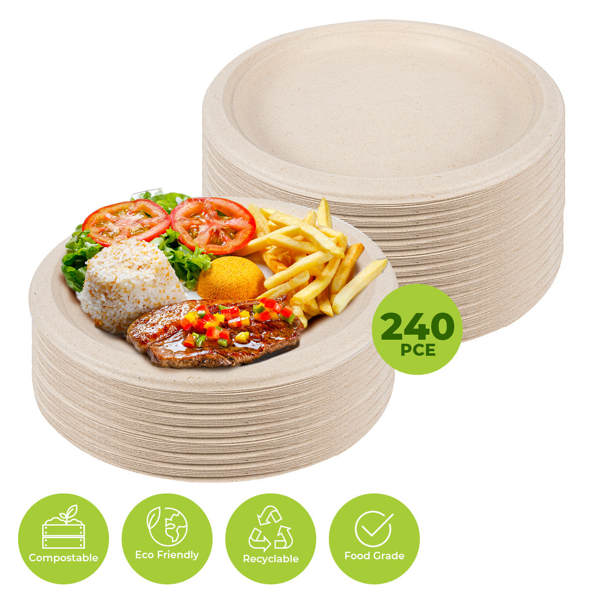 Party Central 240PCE Dinner Plate Round Eco-Friendly Strong Recyclable 22.5cm