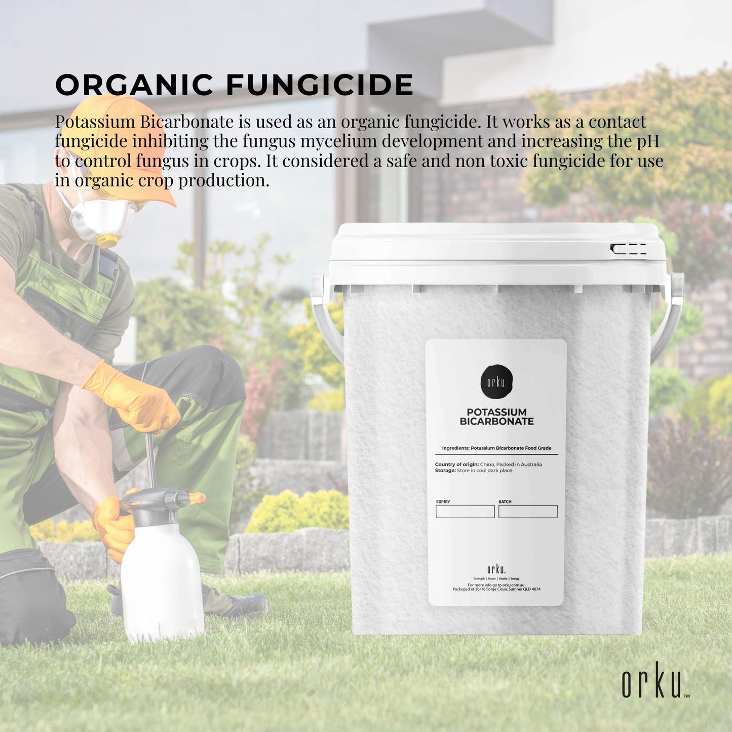 1.3Kg Organic Potassium Bicarbonate Powder Tub Food Grade FCC for Brewing Baking-3