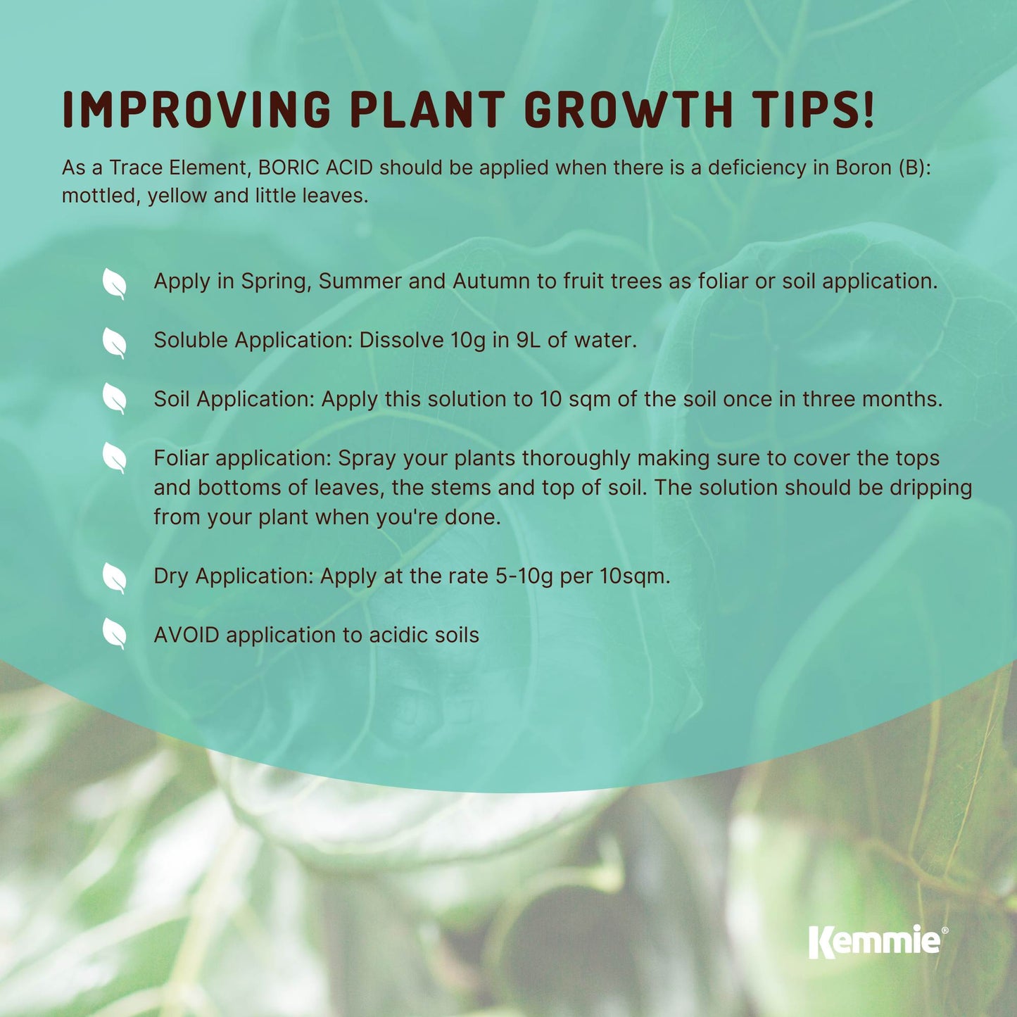 100g Boric Acid Powder High Purity Fully Soluble Granule Pest Ant Cockroaches-4