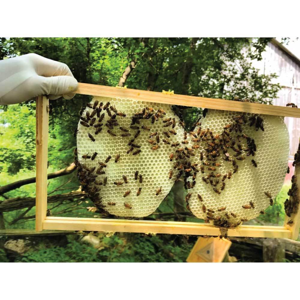 2Kg Orku Australian Beeswax Chunks - Pure Natural Unrefined Raw-4