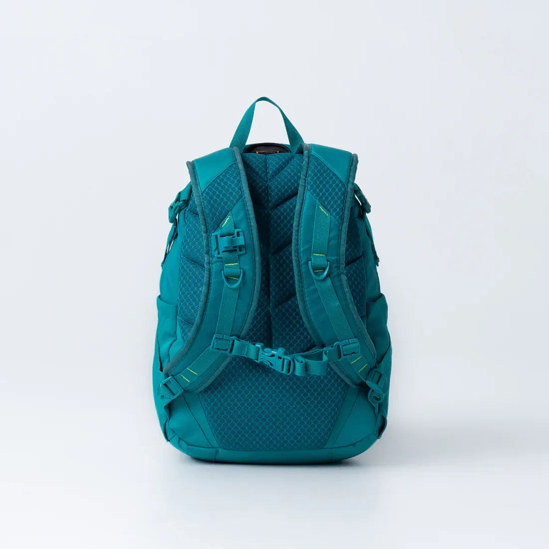 BlackWolf Kalbarri Day Pack 20L Hydration Compatible Air Mesh Harness in Quetzal Green