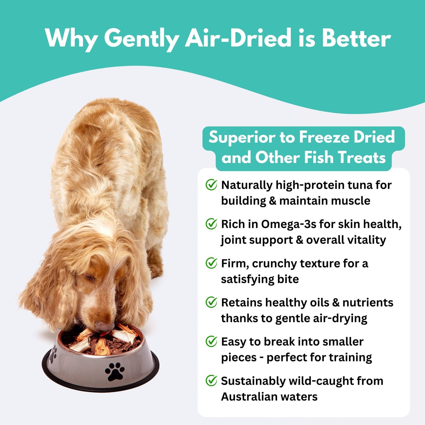 Wild-Caught Tuna Jerky Dog Treats-4