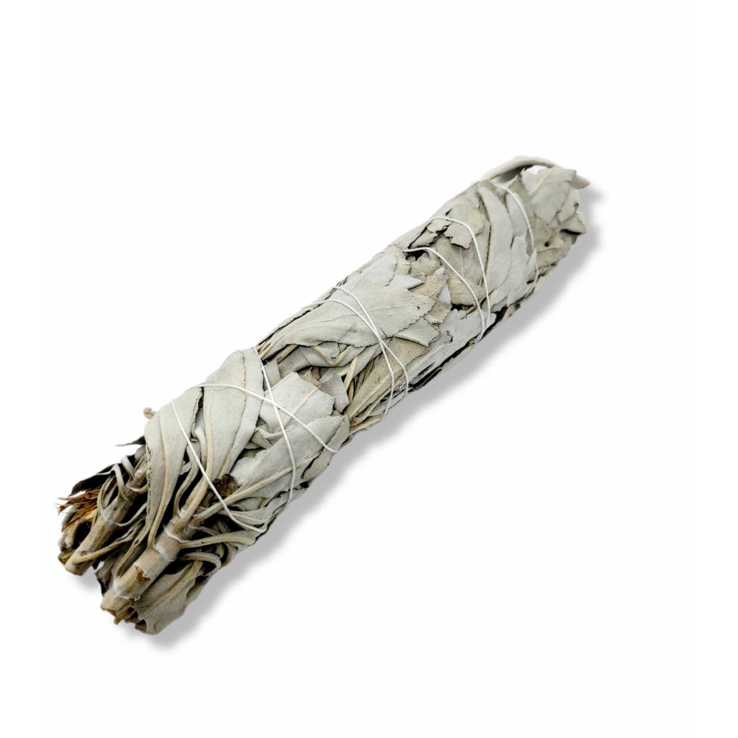 Bulk Californian White Sage Smudge Sticks Jumbo 20-22cm Incense Cleansing Bundle-2