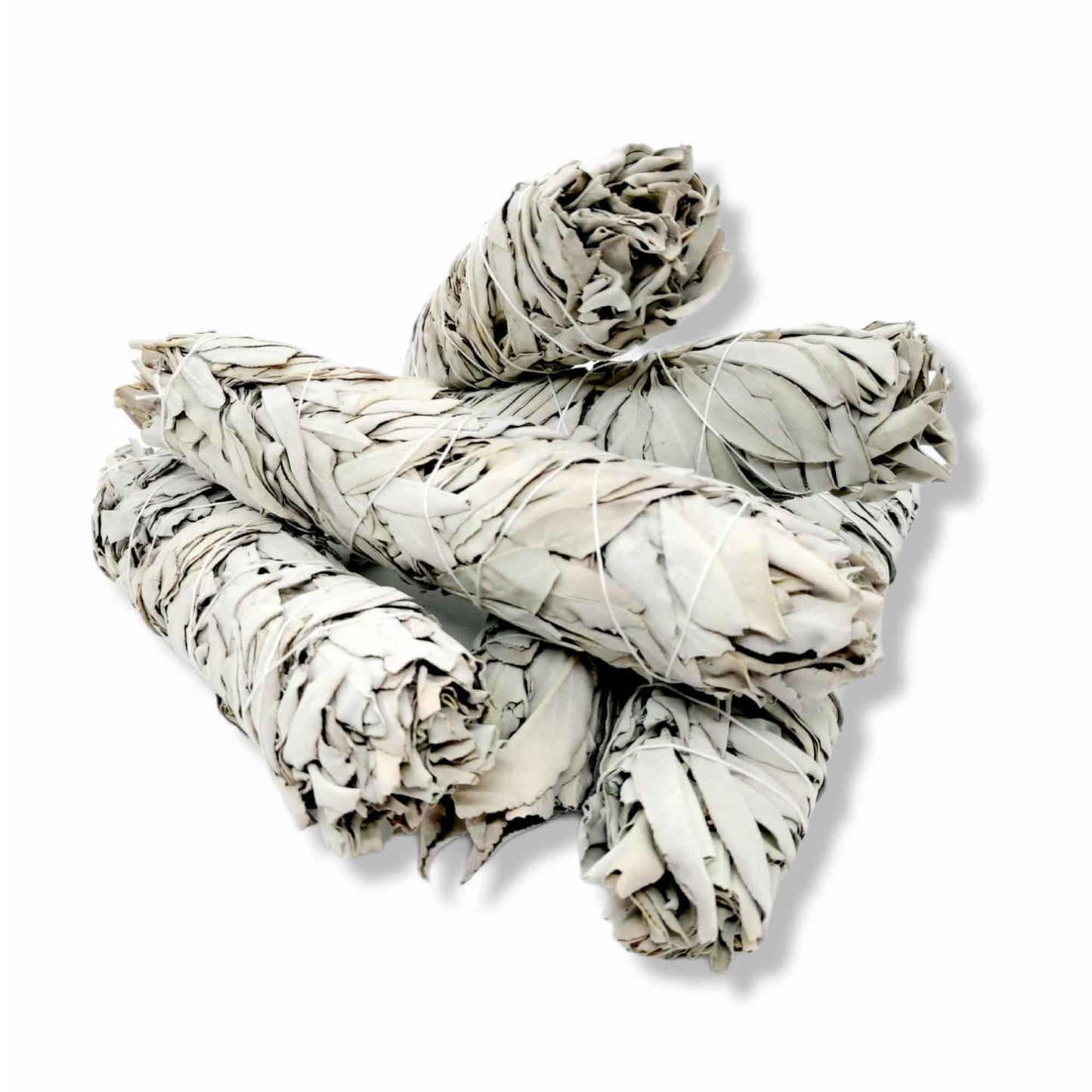 Bulk Californian White Sage Smudge Sticks Jumbo 20-22cm Incense Cleansing Bundle-0