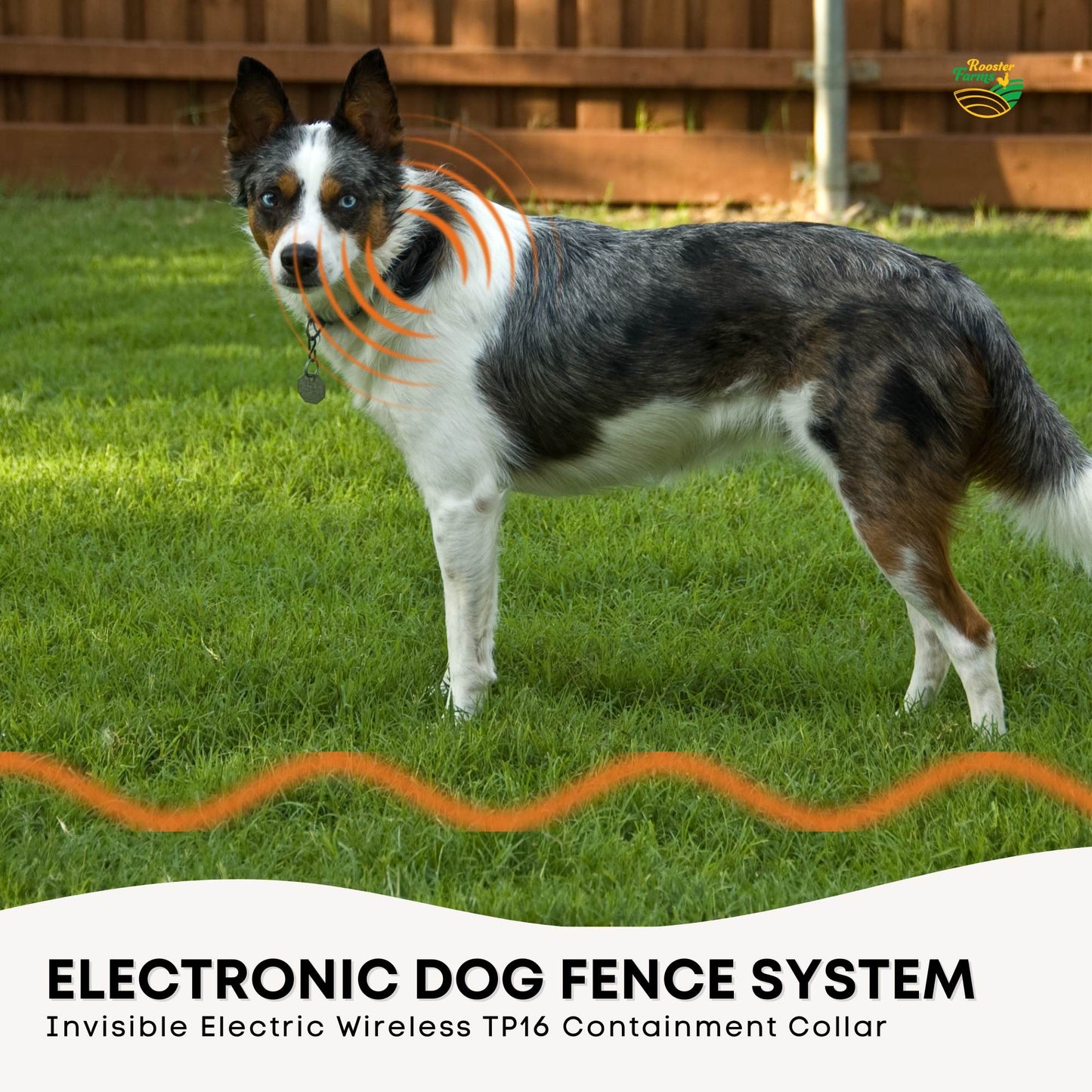 Electronic Dog Fence System -Invisible Electric Wireless TP16 Containment Collar-1
