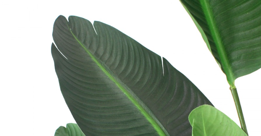 120cm Potted Faux Traveller Palm Leaves Artificial Flower Plant Décor