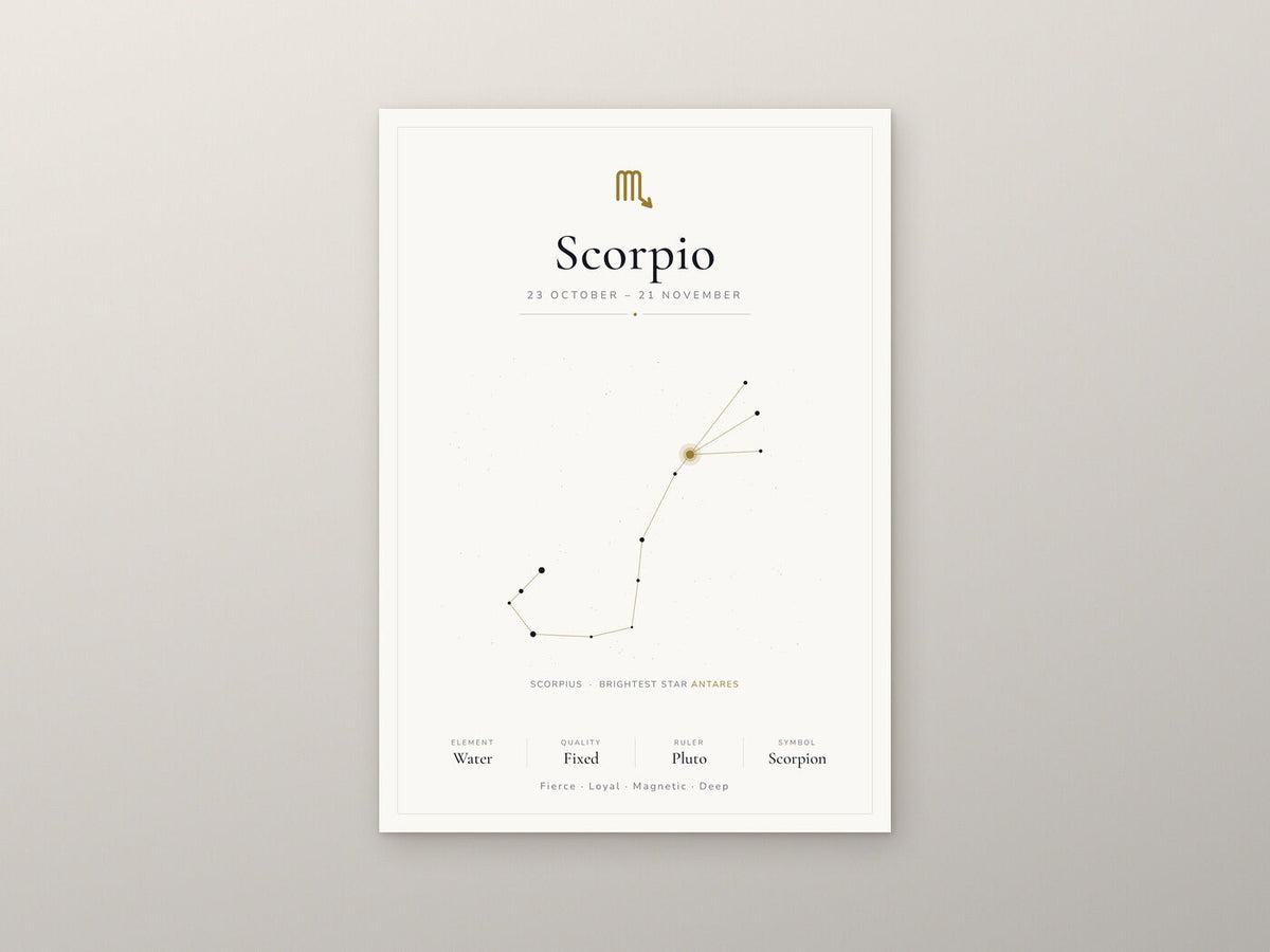 Scorpio Zodiac Constellation White: A4 Matte Laminated Educational Poster Print - 210x297mm