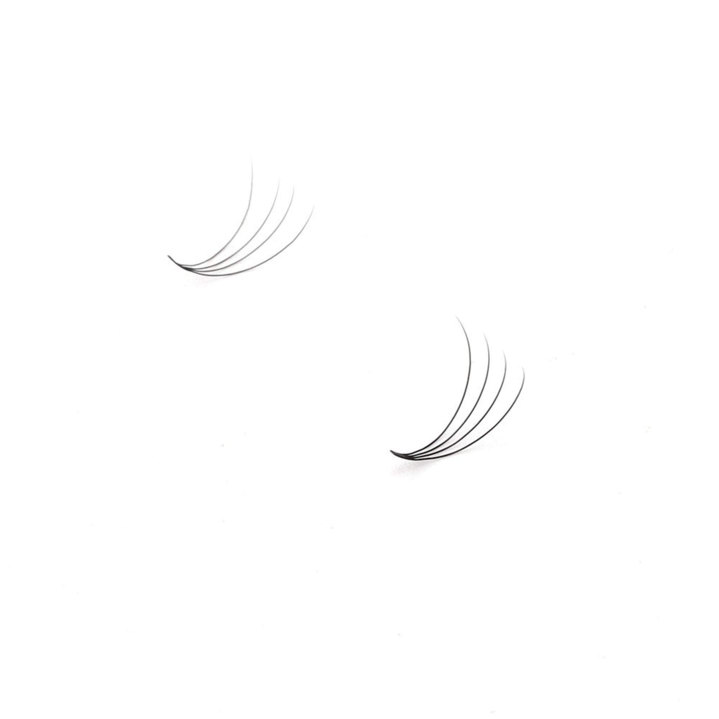 Miosh Eyelash Extensions - XL 4D Premade Volume Short Stem Lash 0.07 / D CURL-1