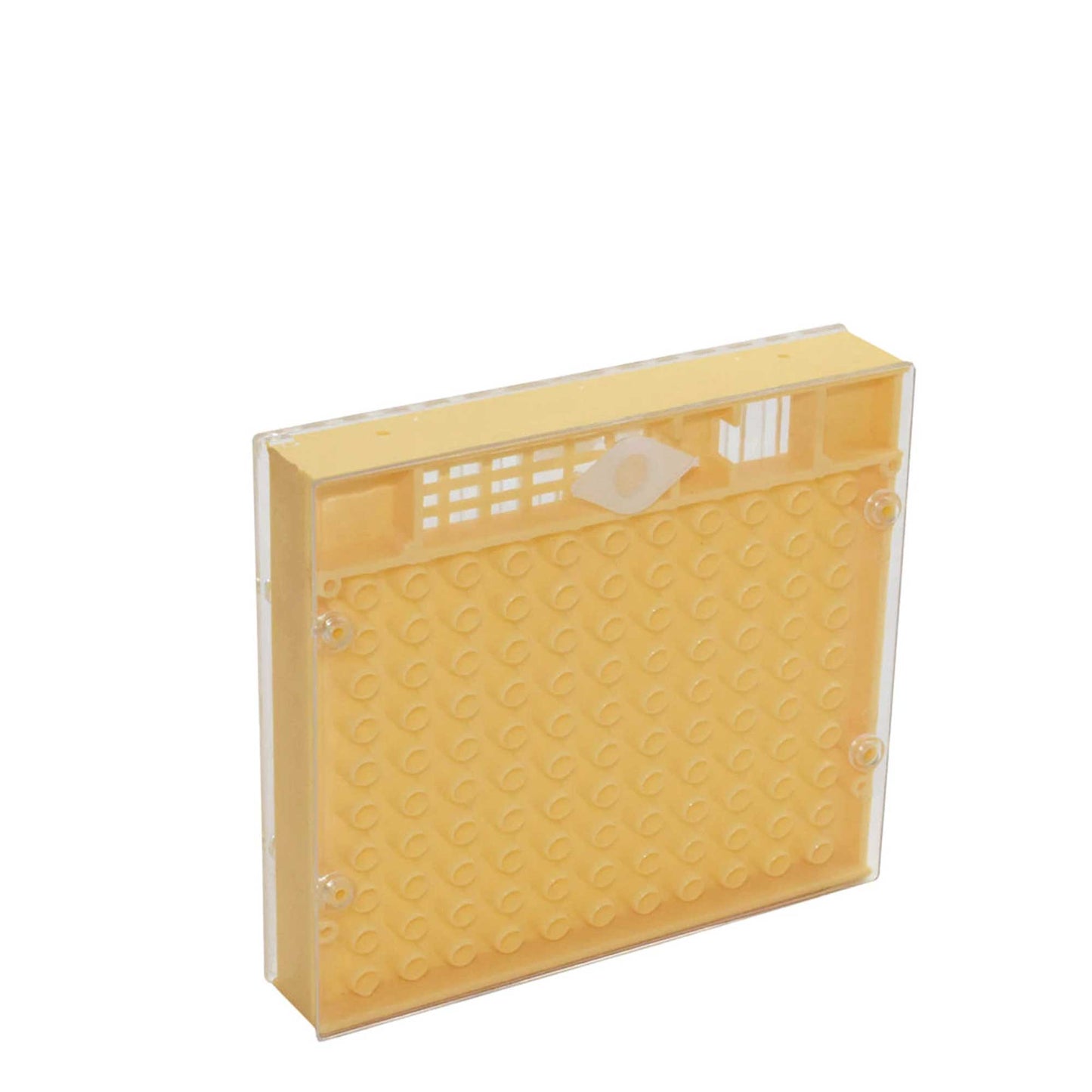 Nicot Queen Bee Rearing System Kit - Basic No Graft Jenter Starter Beekeeping-3