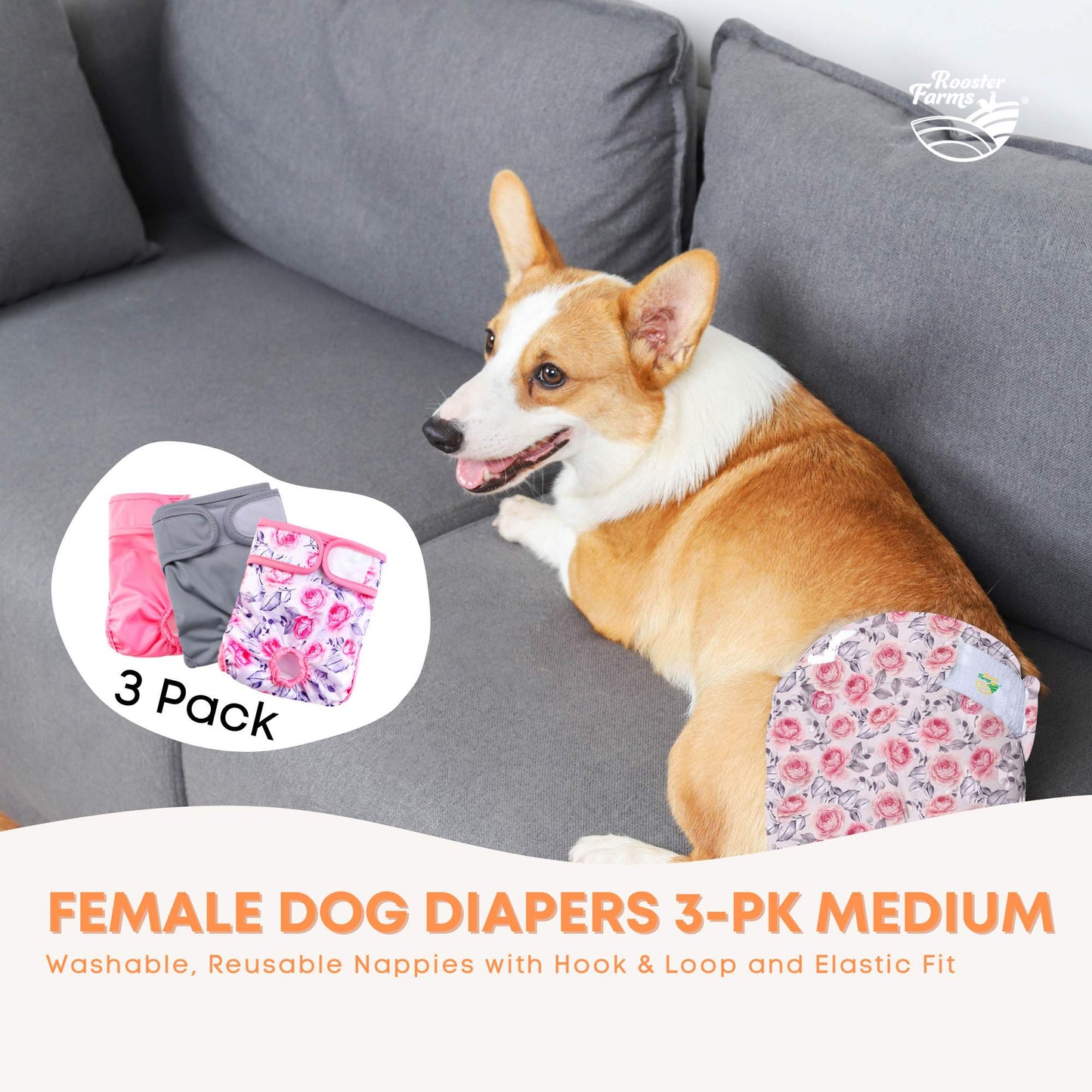 Rooster Farms Female Dog Diapers Medium 3Pk - Washable Reusable Nappy Hook/Loop-1