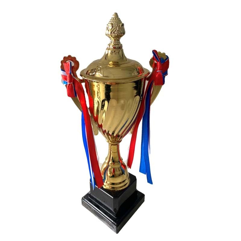 30cm Gold Trophy Cup - School Sports Day Winners/Events Award-3