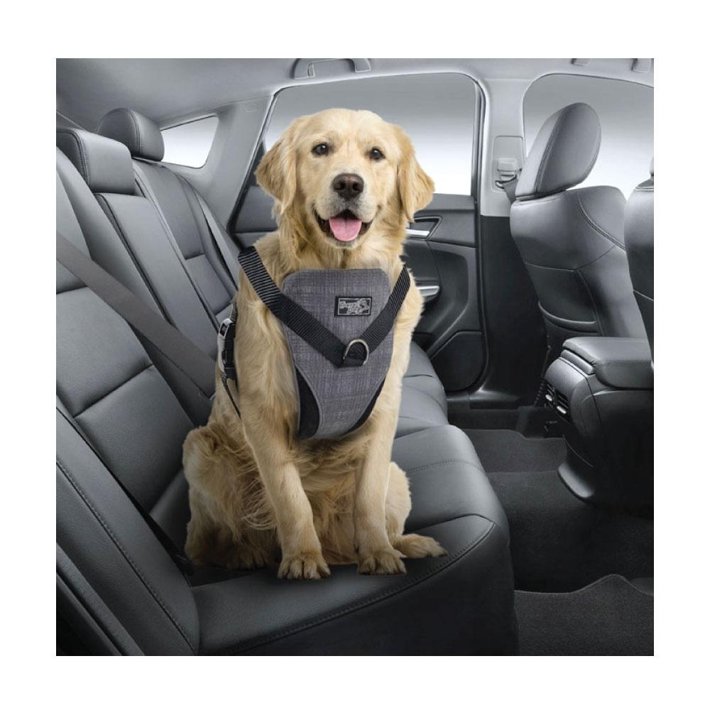 XL Dog Harness 2 in 1 Combo - Car Travel Rides + Walks - No Pull Leash Seat Belt-4
