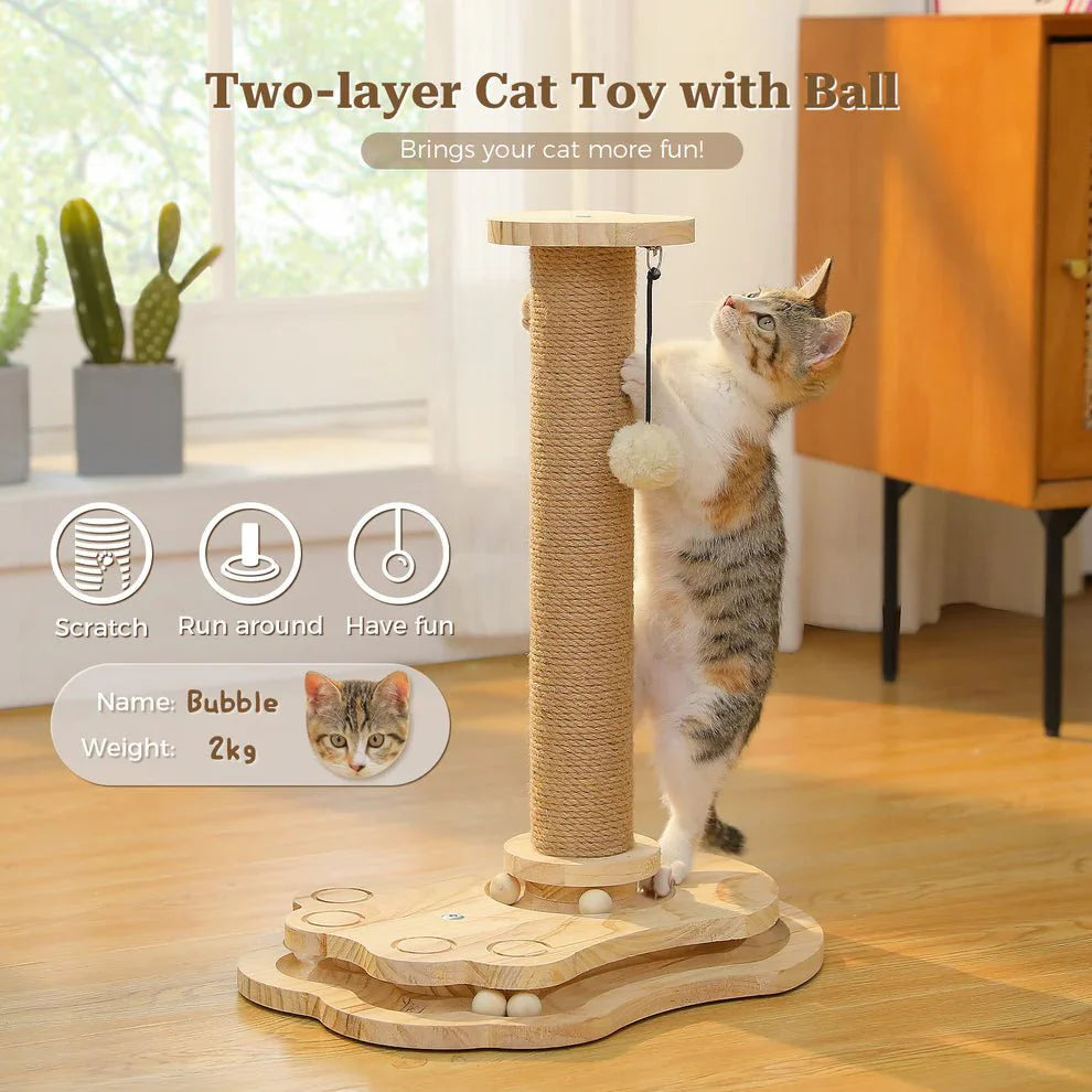 Kitty Interactive Turntable - Self-Amusement Toy-2