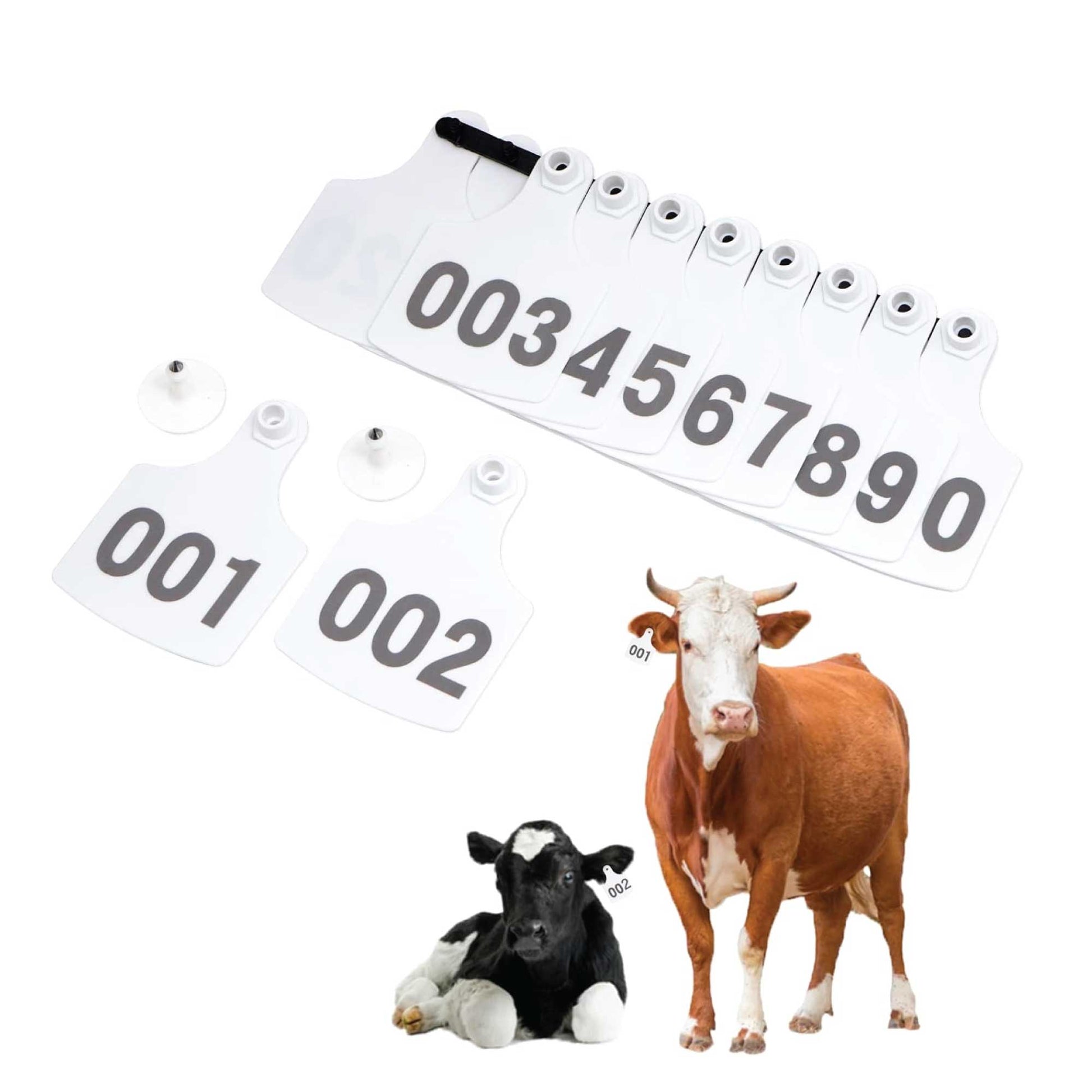 1-100 Cattle Number Ear Tag 6x7cm Set - Medium White Cow Sheep Livestock Label-4