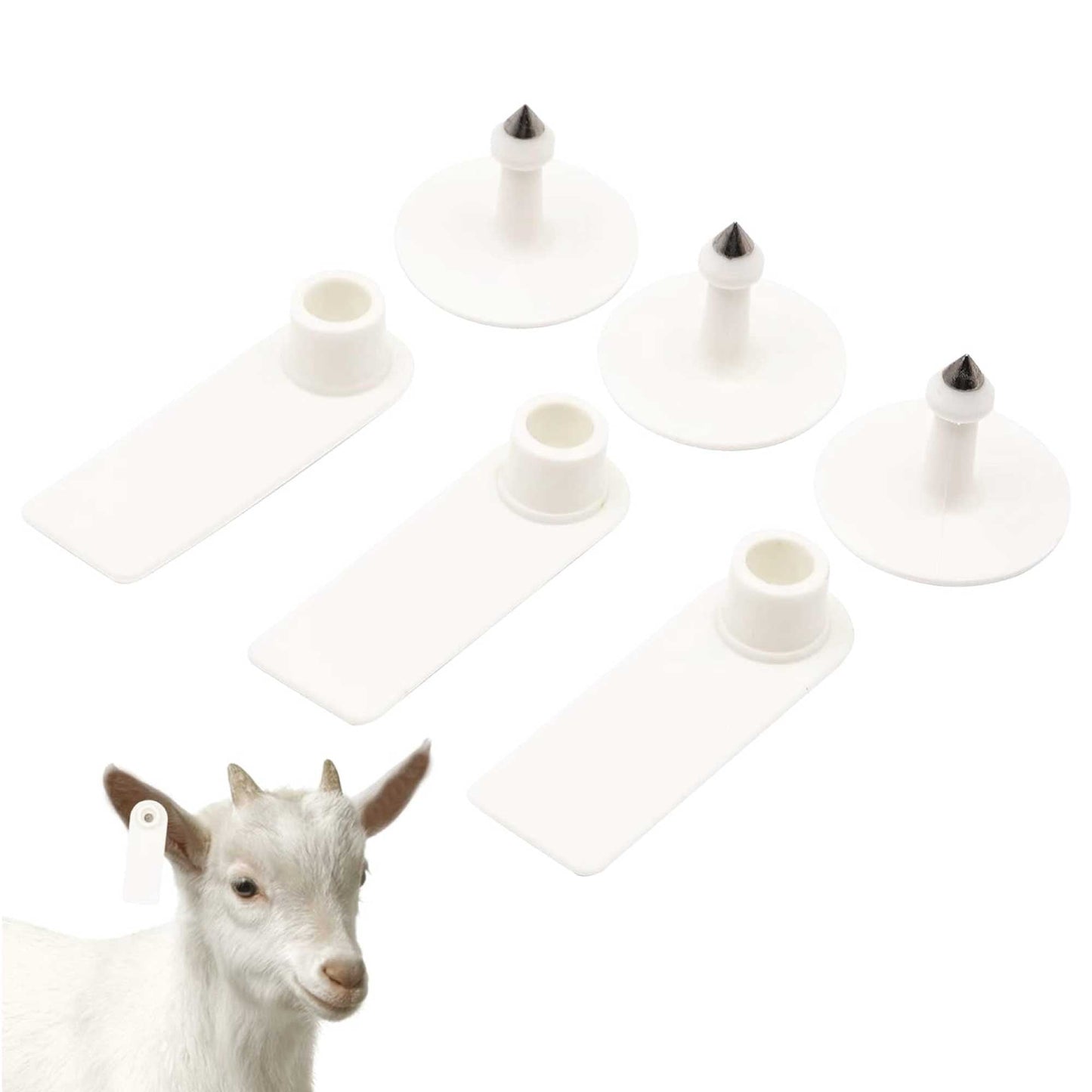 100x Cattle Ear Tags 5x2cm Set - Mini White Blank Pig Goat Livestock Label-4