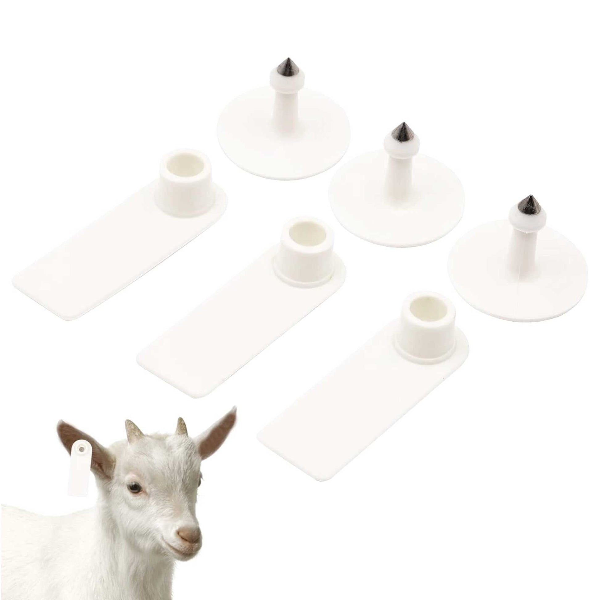 100x Cattle Ear Tags 5x2cm Set - Mini White Blank Pig Goat Livestock Label-4