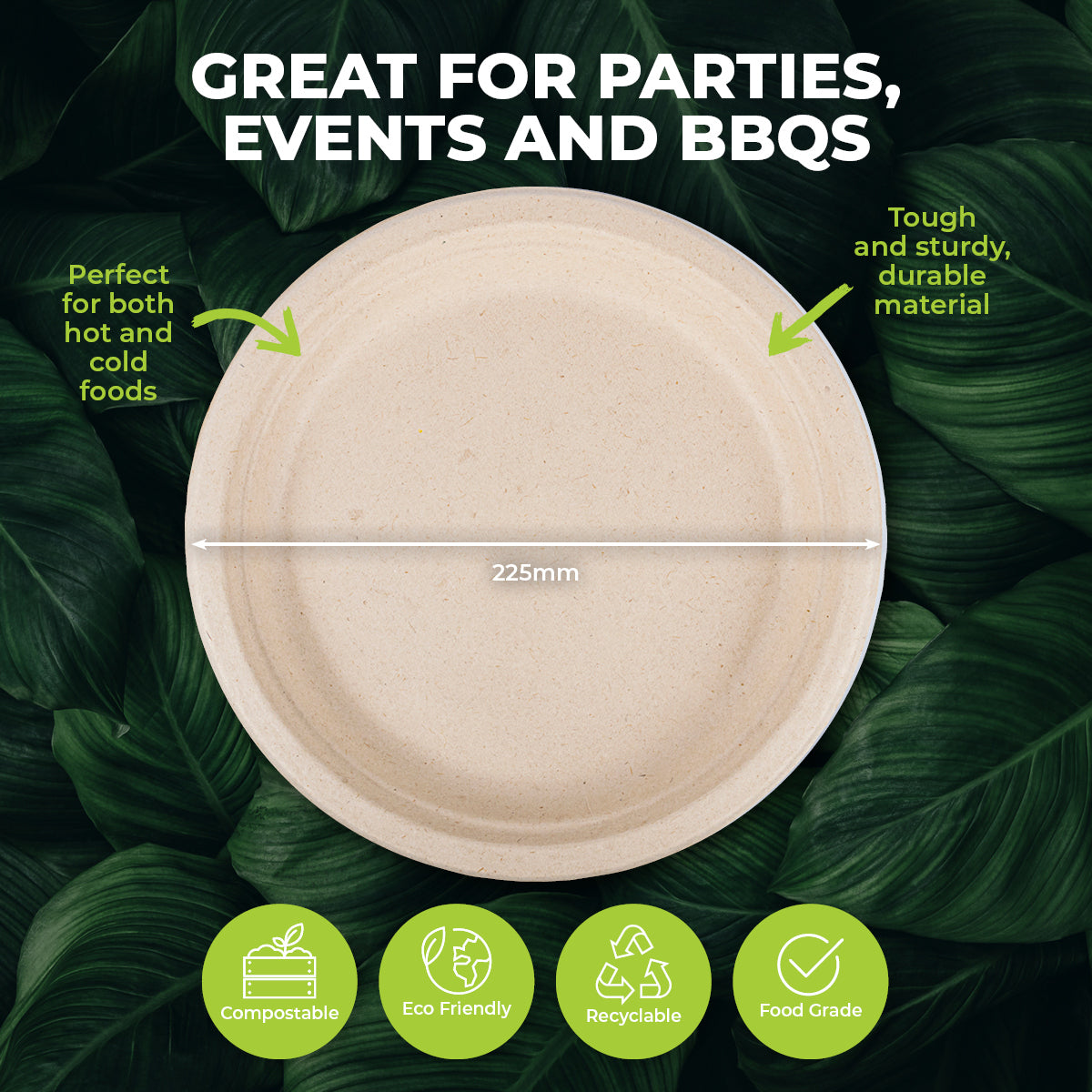 Party Central 240PCE Dinner Plate Round Eco-Friendly Strong Recyclable 22.5cm