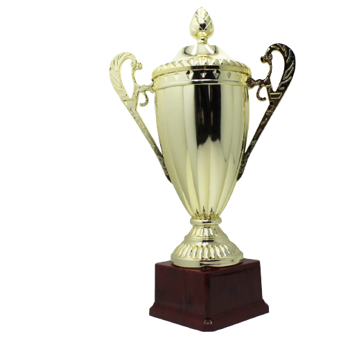 Large Classic Gold Trophy Cup Novelty Winners Prize Solid Achievement Award-0