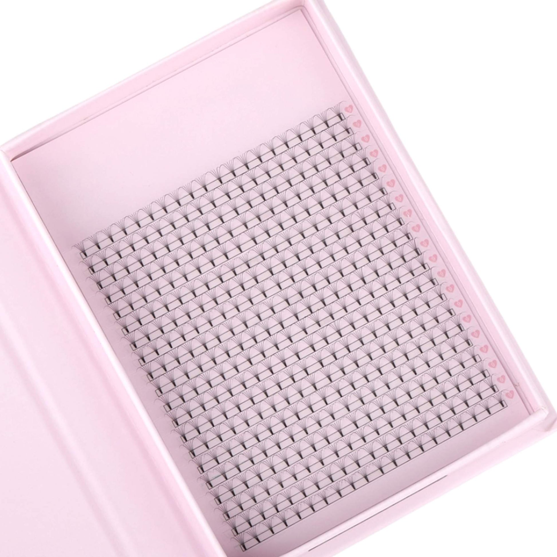 Miosh Eyelash Extensions - XL 6D Premade Volume Short Stem Lash 0.07 / D CURL-3