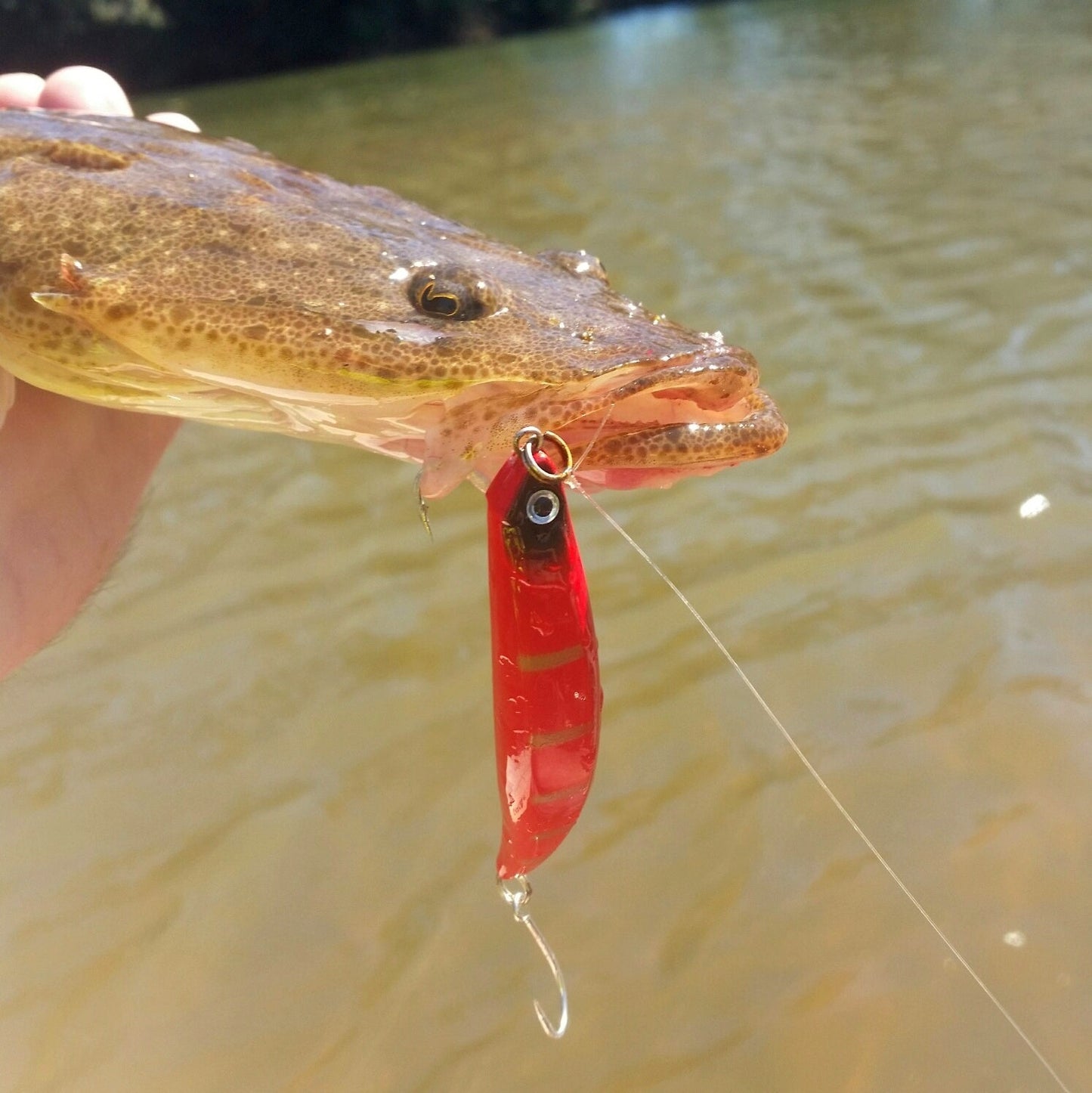 Toppu Mizzu Sidewinder Bent Minnow, 95mm, Opaque Gold-1
