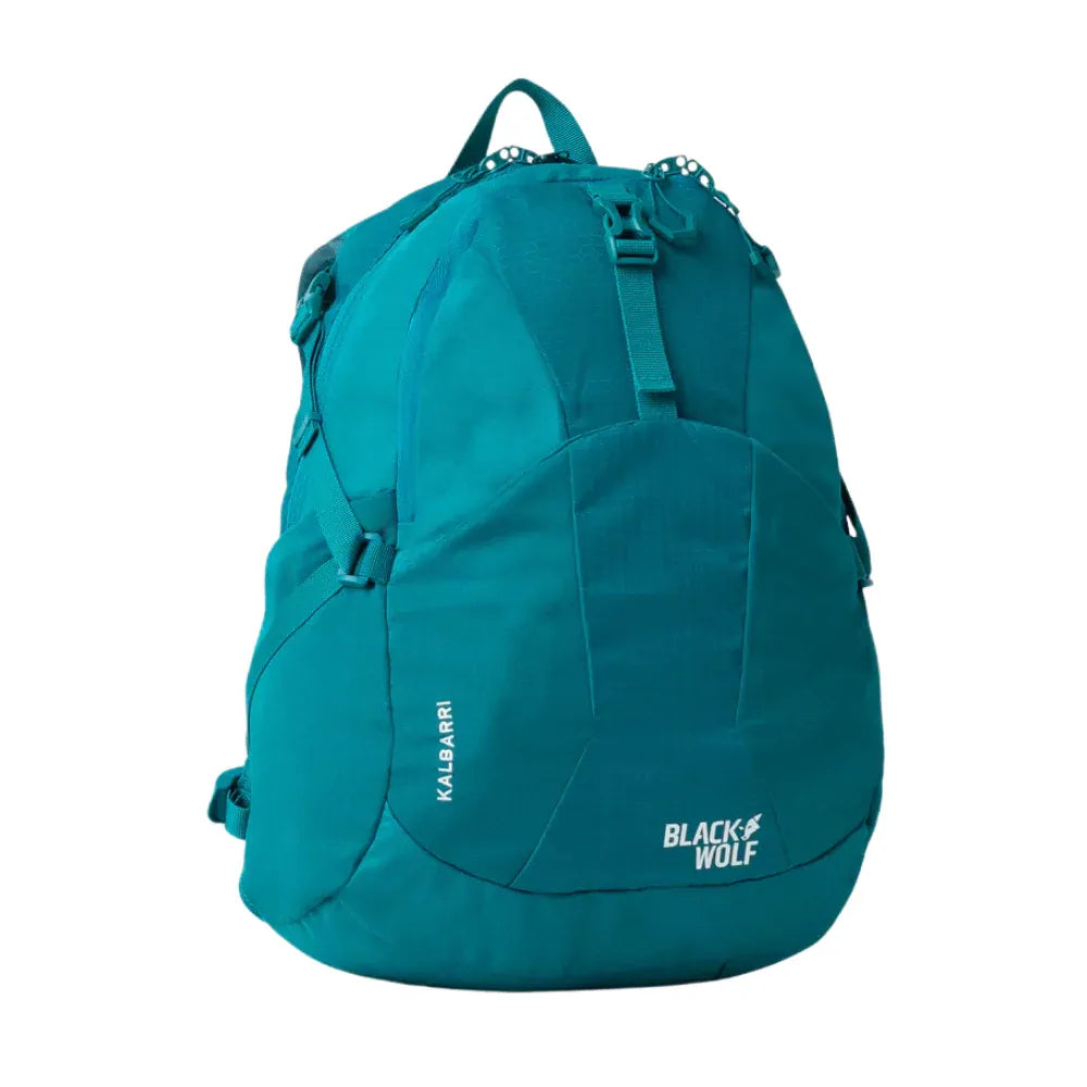 BlackWolf Kalbarri Day Pack 20L Hydration Compatible Air Mesh Harness in Quetzal Green