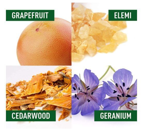 Adidas 50ml For Him Natural Spray CHRG Charge Culture Of Sports Cologne-4