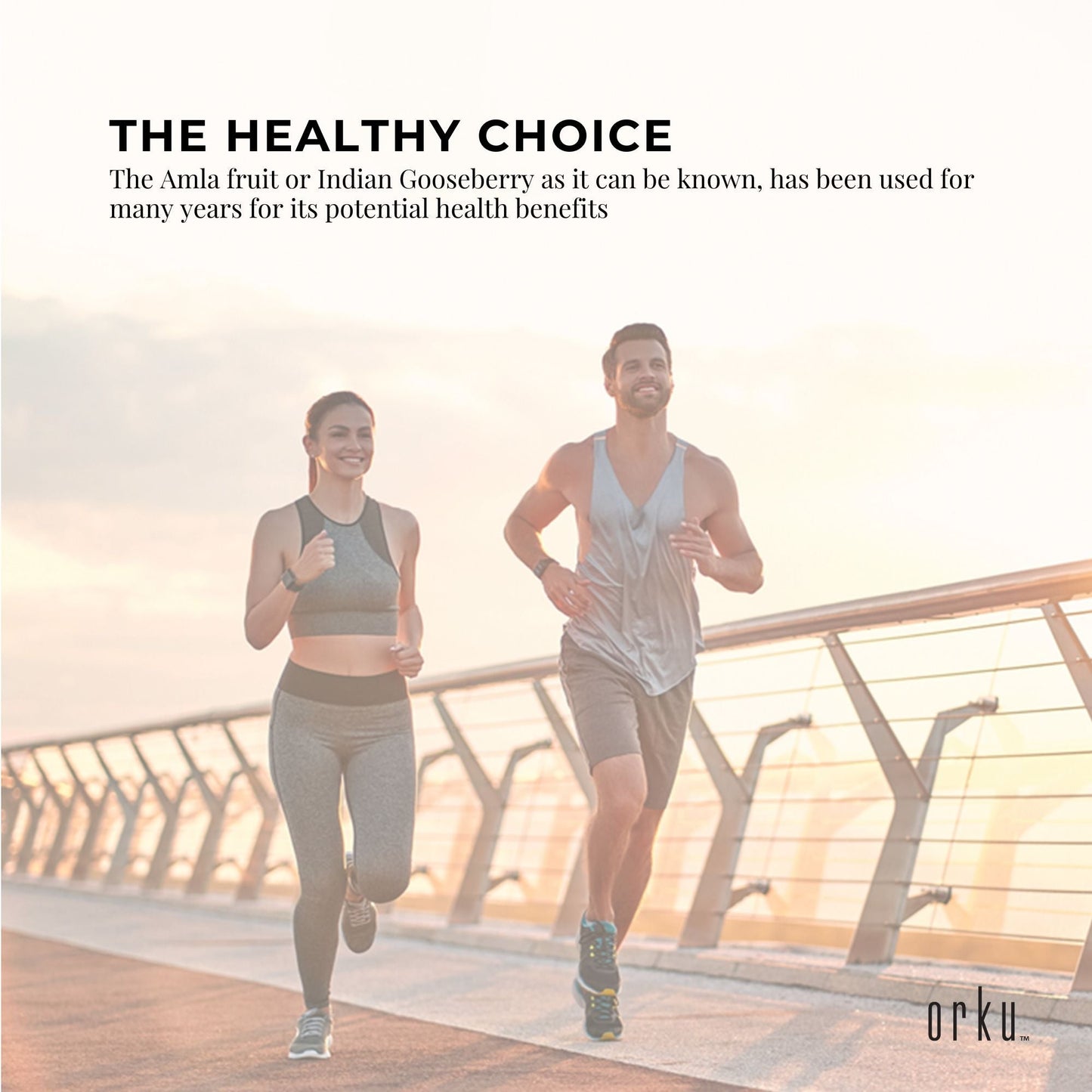 3Kg Organic Amla Powder Tub Indian Gooseberry Emblica Officinalis Supplement-4