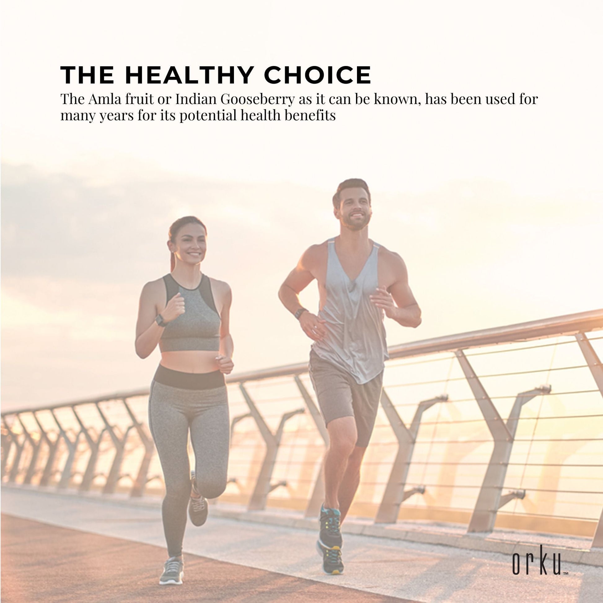 3Kg Organic Amla Powder Tub Indian Gooseberry Emblica Officinalis Supplement-4