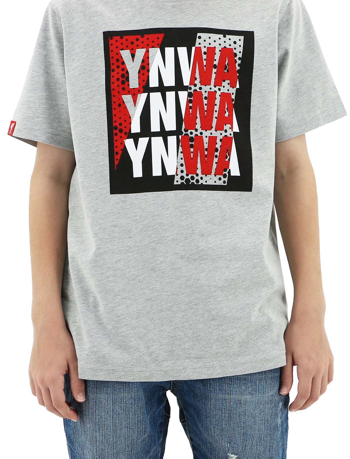 Liverpool FC Youth Kids YNWA Tee T Shirt Top Soccer LFC - Grey-3
