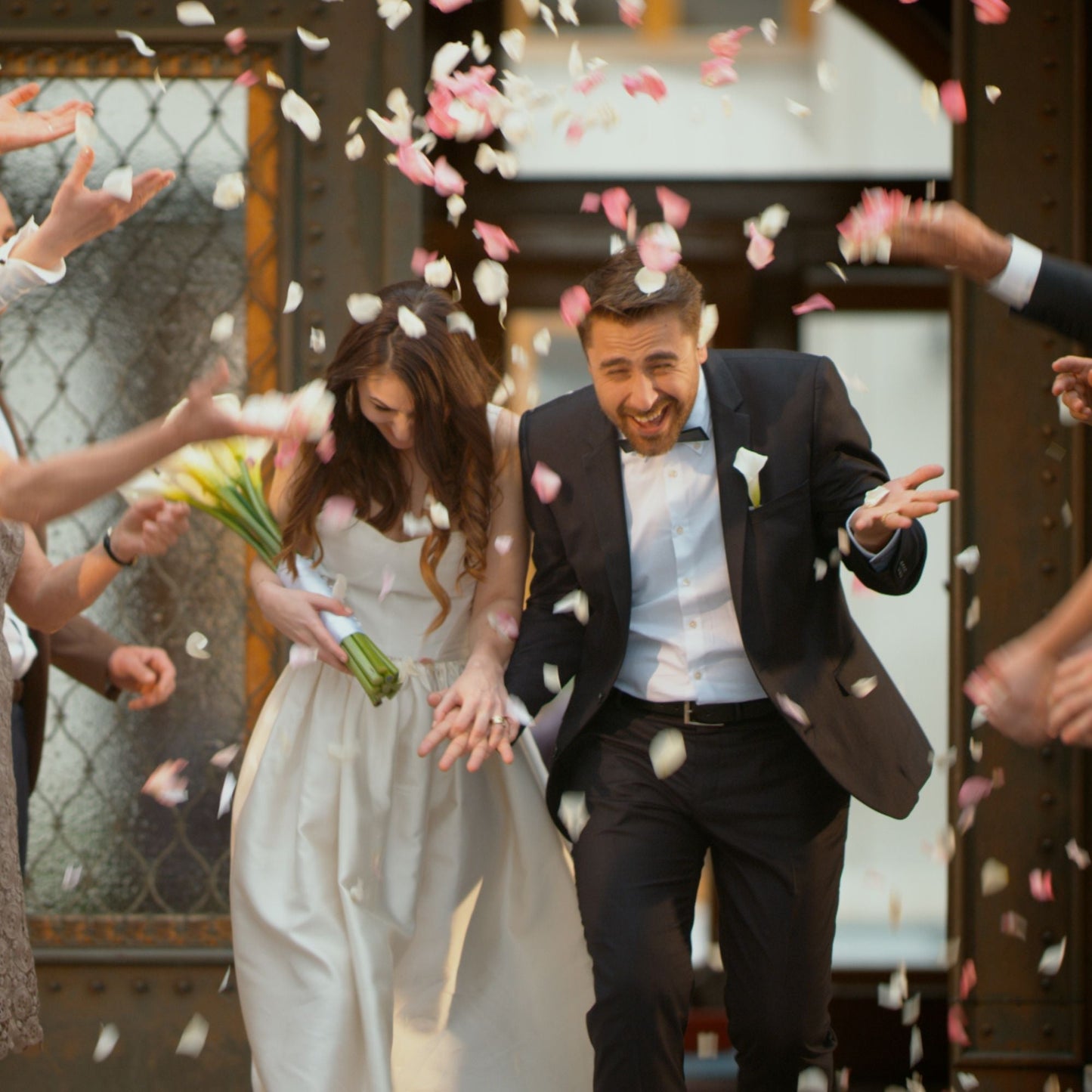 400g Organic Dried Red Rose Petals - Wedding Confetti Rosa Centifolia Flower-2