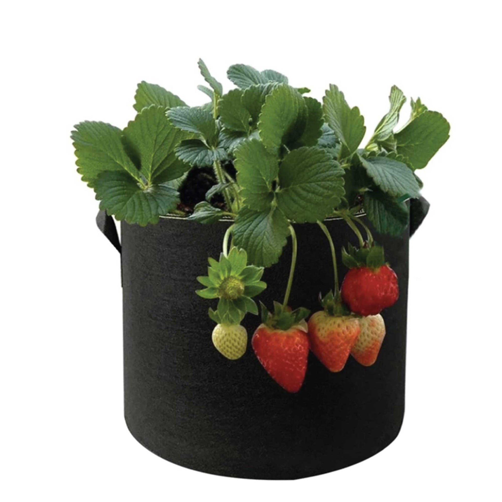 6 Pck 10 Gallon Fabric Flower Pots 38L Garden Planter Bags Black Felt Root Pouch-3