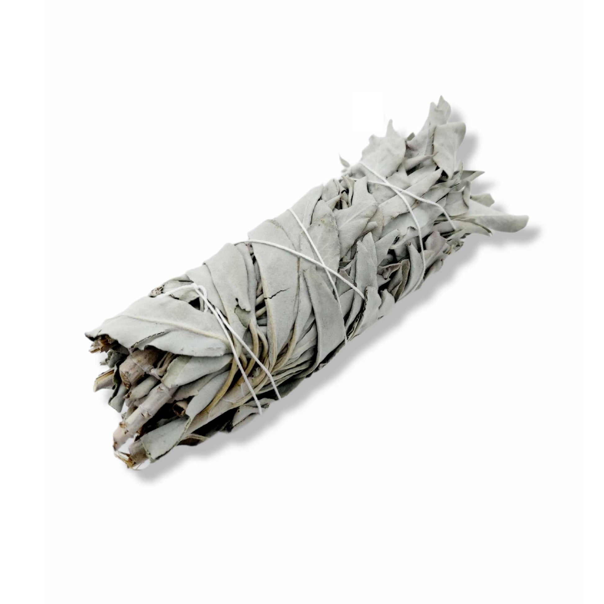6x Californian White Sage Smudge Sticks Medium 13-15cm Incense Cleansing Bundle-2