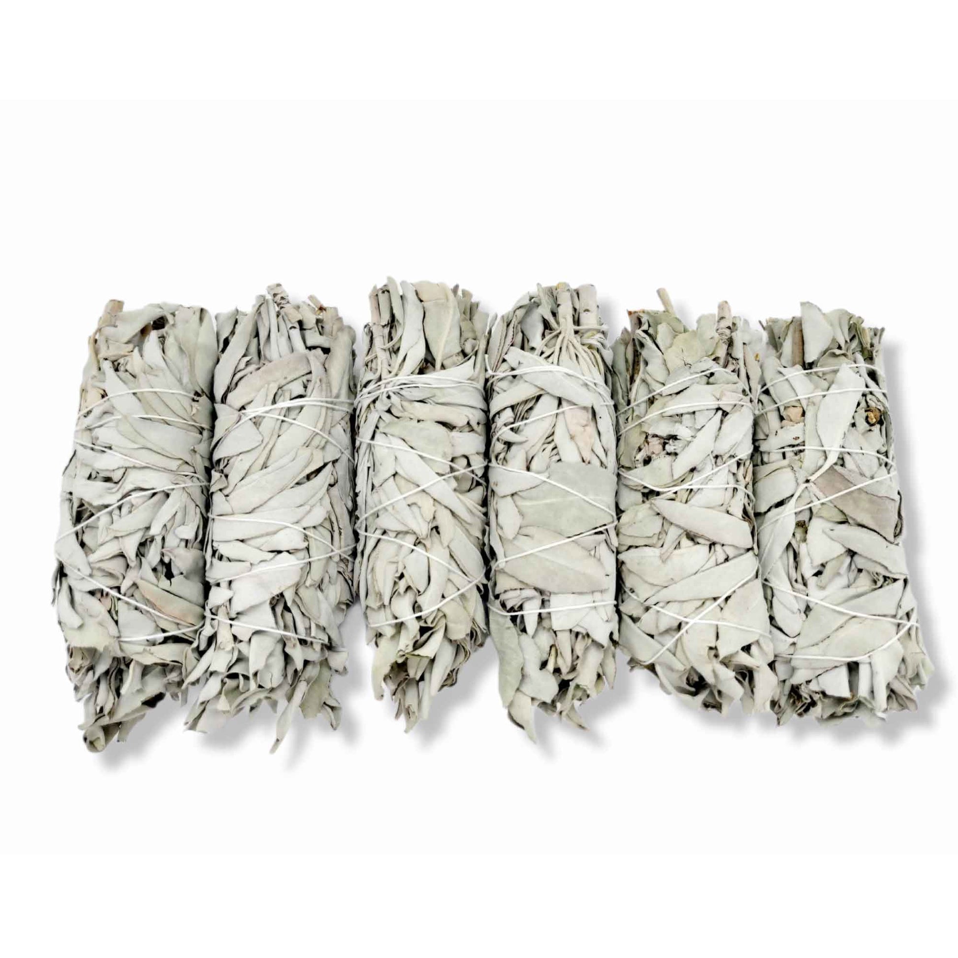 6x Californian White Sage Smudge Sticks Medium 13-15cm Incense Cleansing Bundle-0