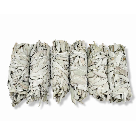 6x Californian White Sage Smudge Sticks Medium 13-15cm Incense Cleansing Bundle-0