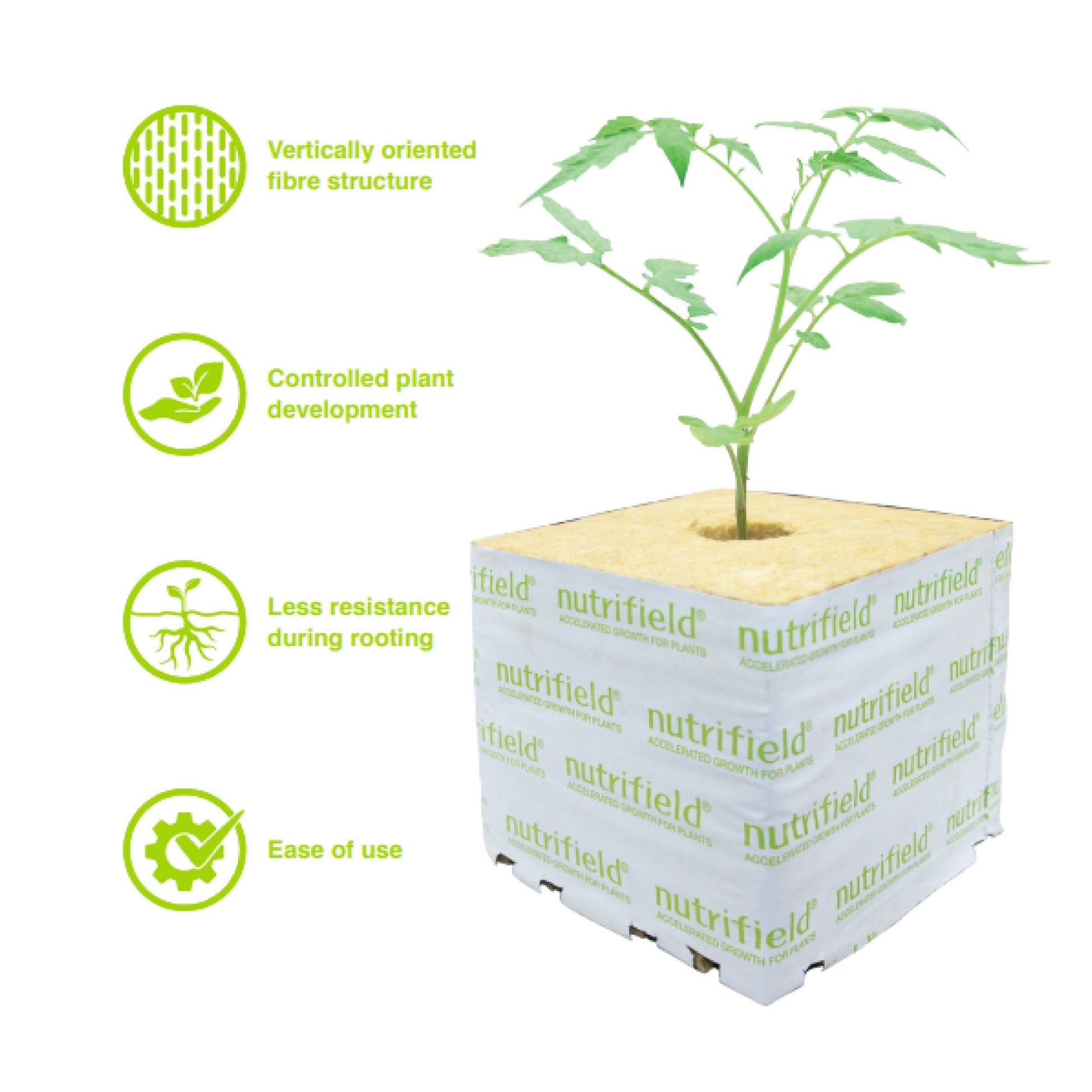 75x75x65mm Stonewool 8pk - Planting Propagation Growing Assist Block Nutrifield-2