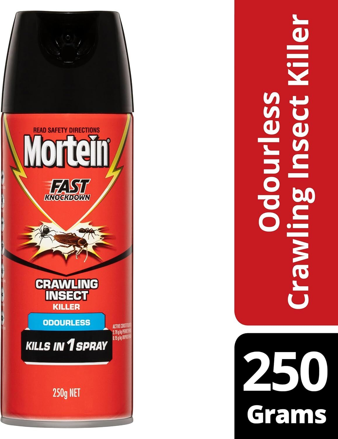 Mortein Fast Knockdown Odourless Surface Spray Crawling Insect Killer 250g