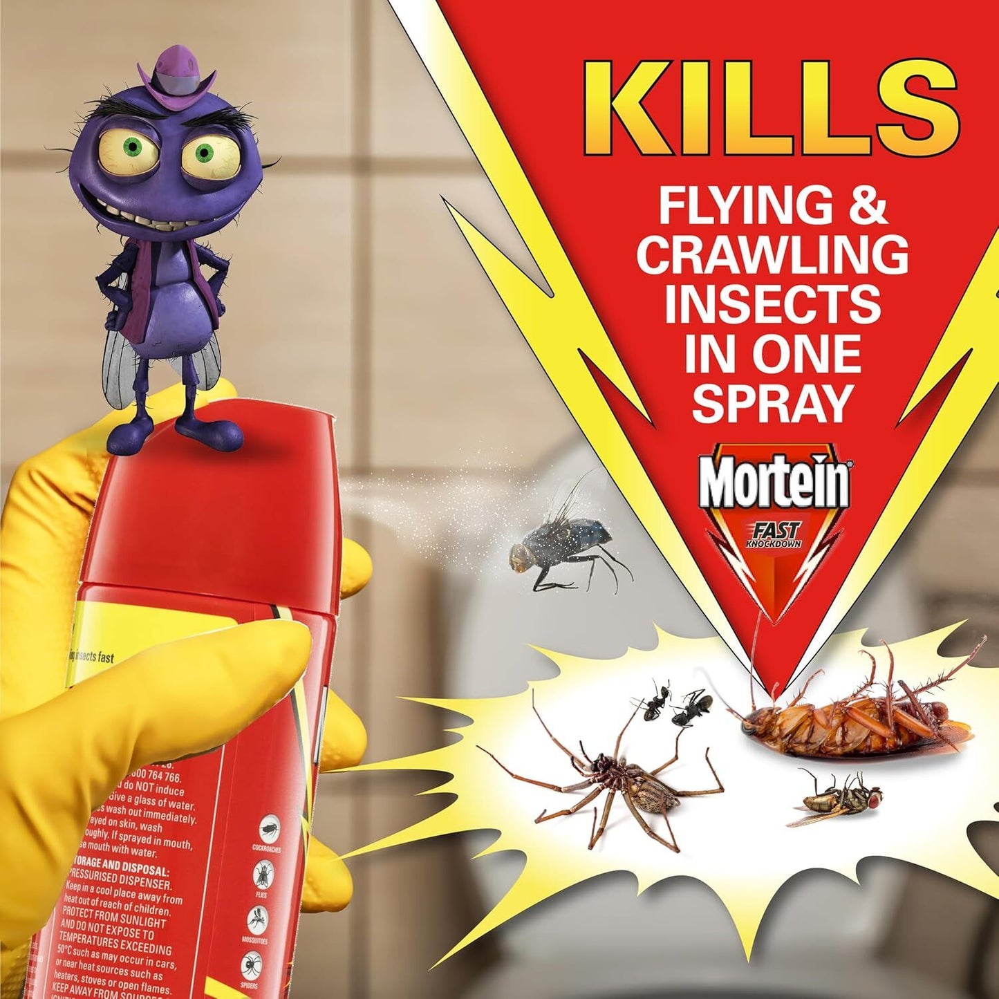 1 Pack of 2 300g Mortein Fast Knockdown Multi Insect Killer Surface Spray