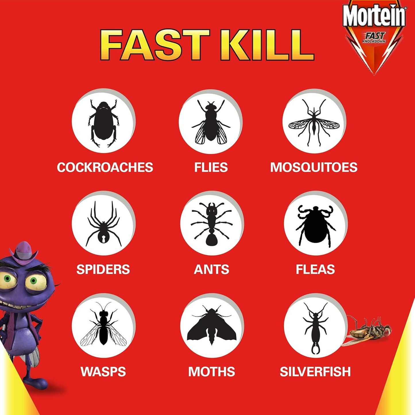 Mortein Fast Knockdown Aerosol Multi Insect Killer, 200g