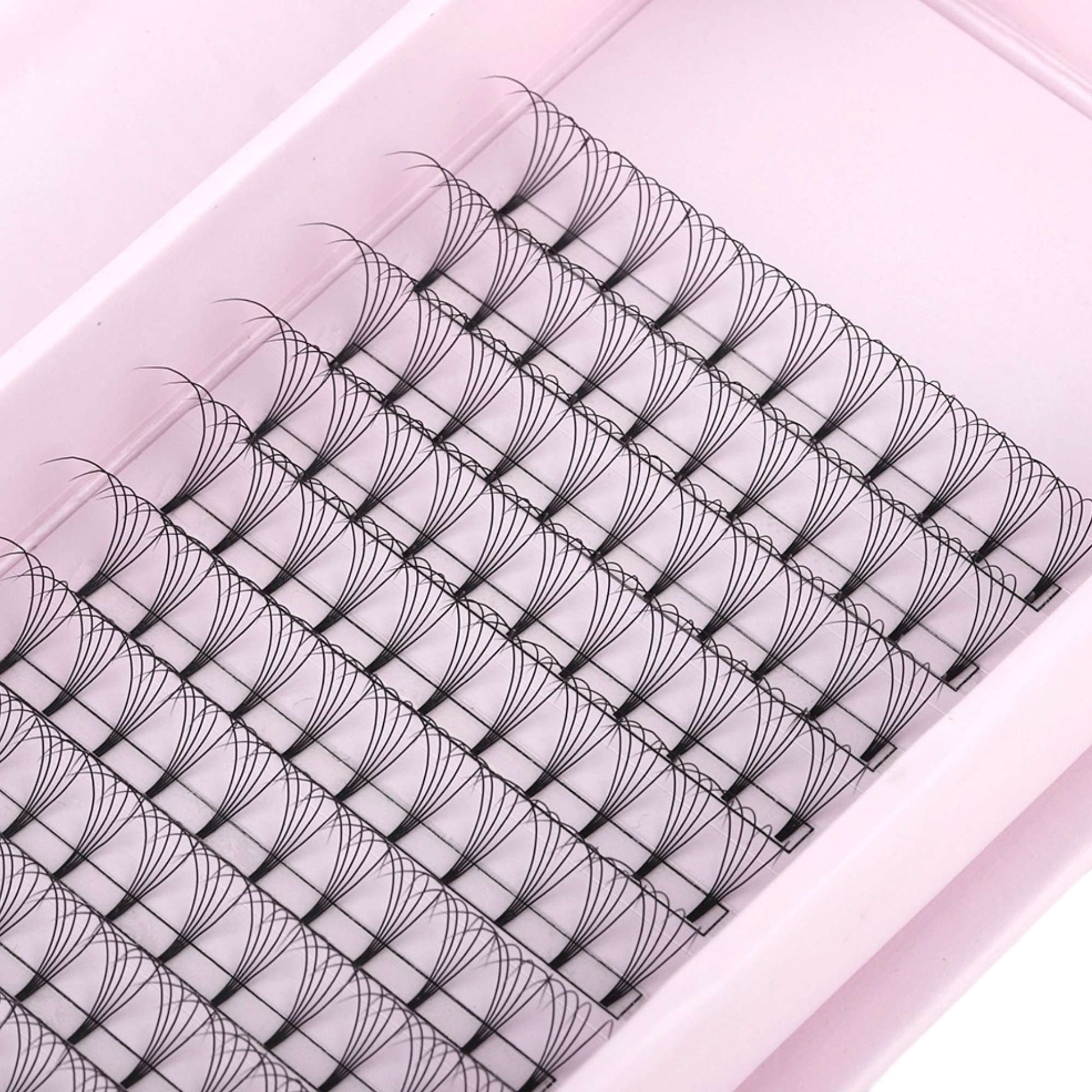 Miosh Eyelash Extensions - 5D Premade Volume Short Stem Eye Lash 0.10 / D CURL-4