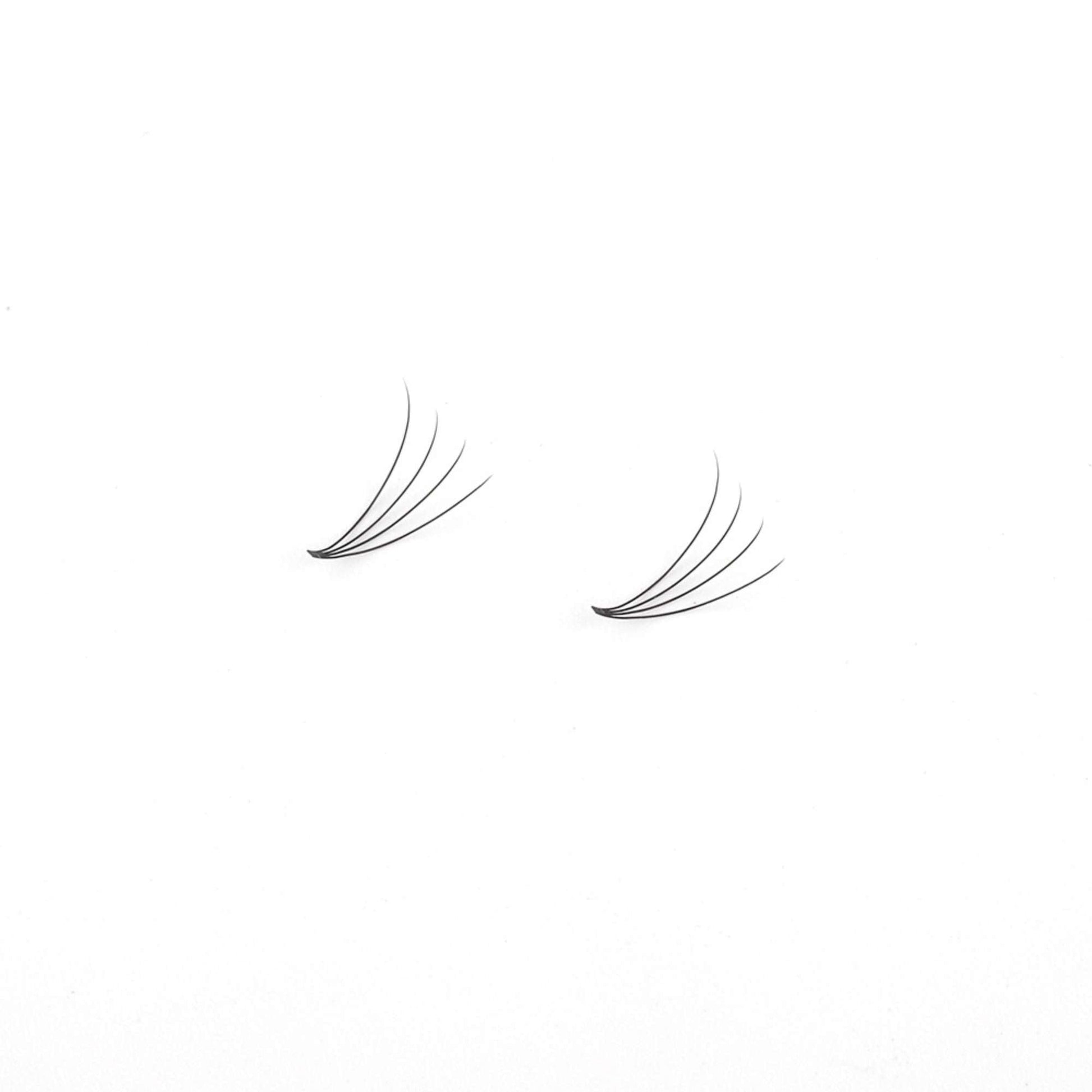 Miosh Eyelash Extensions - 4D Premade Volume Short Stem Eye Lash 0.10 / D CURL-1