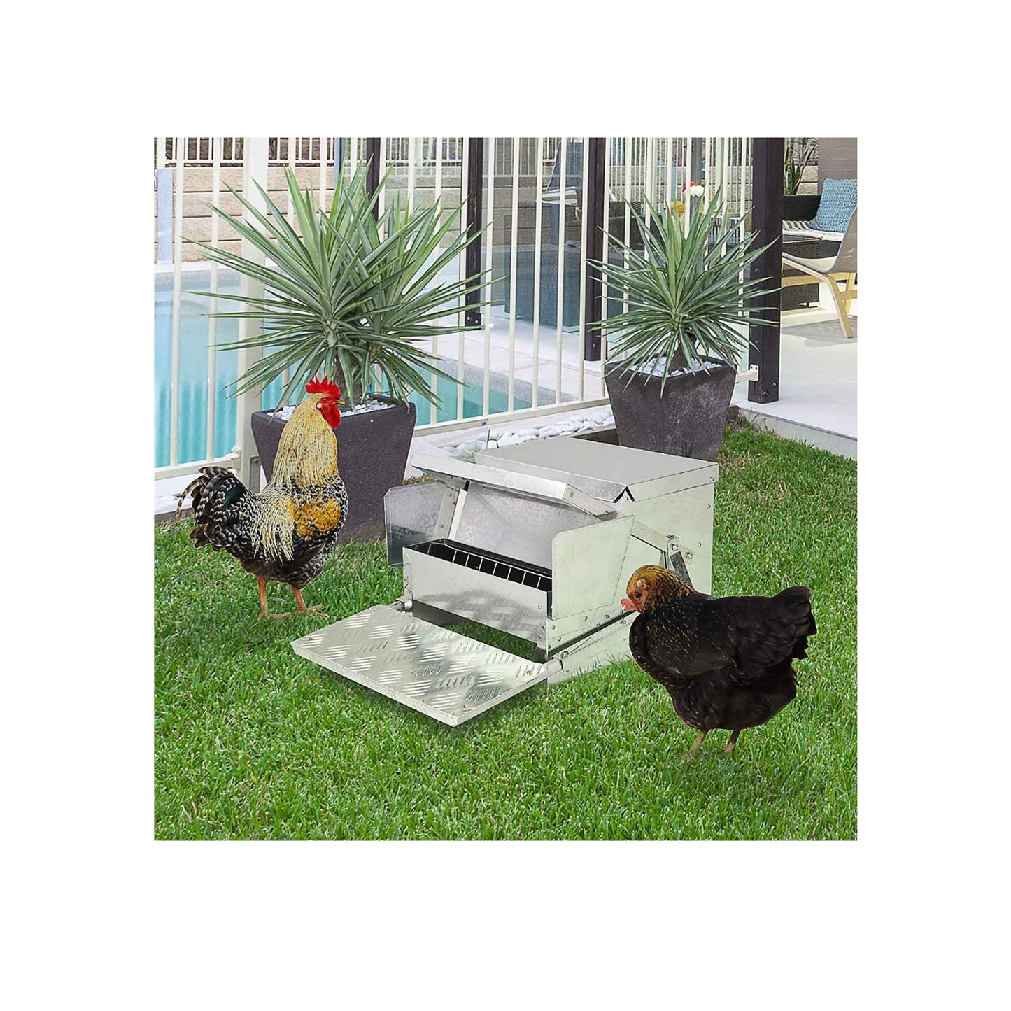 9kg Automatic Chook Chicken Feeder Poultry Auto Treadle Aluminium Metal Feeders-4