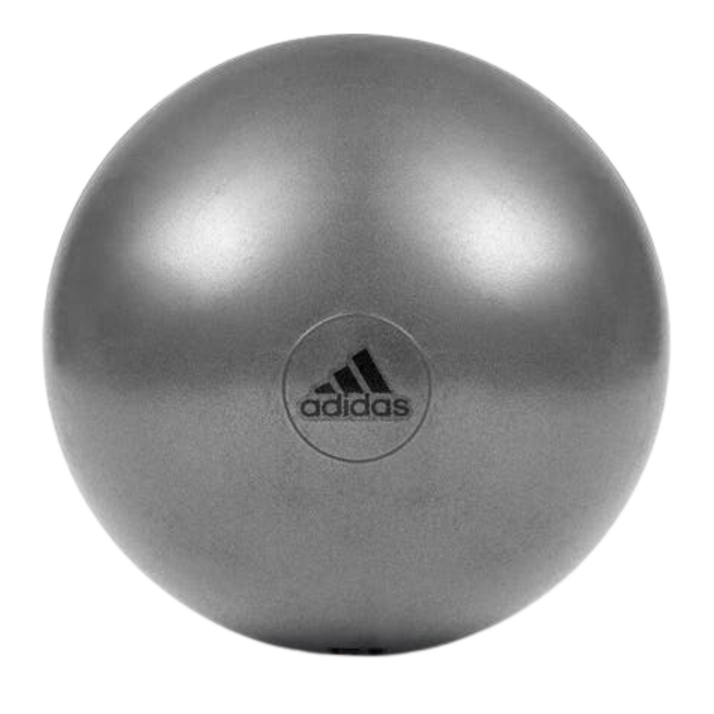 Adidas Gym Ball with Pump Exercise Yoga Fitness Pilates Birthing Training 55cm-1