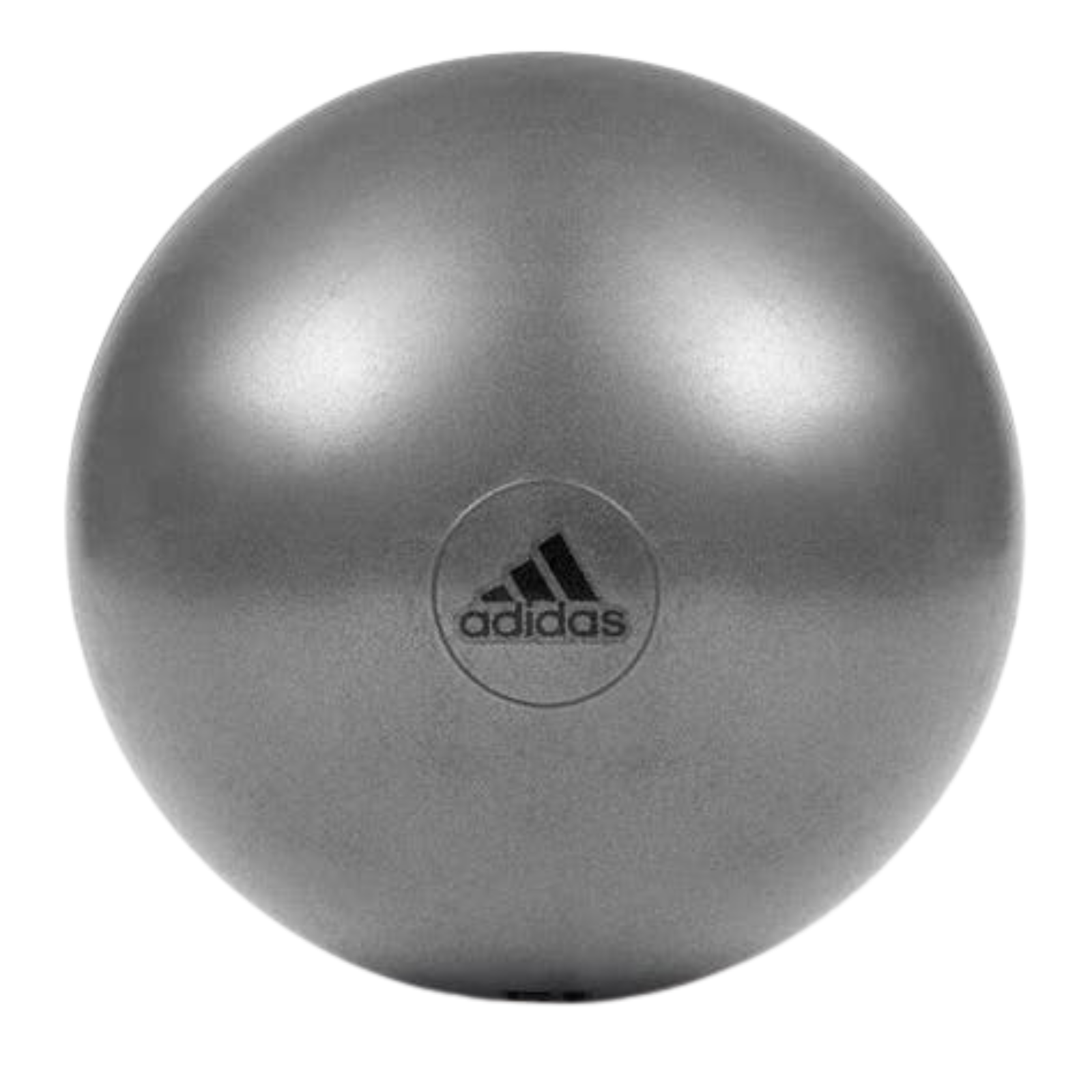 Adidas Gym Ball with Pump Exercise Yoga Fitness Pilates Birthing Training 55cm-1