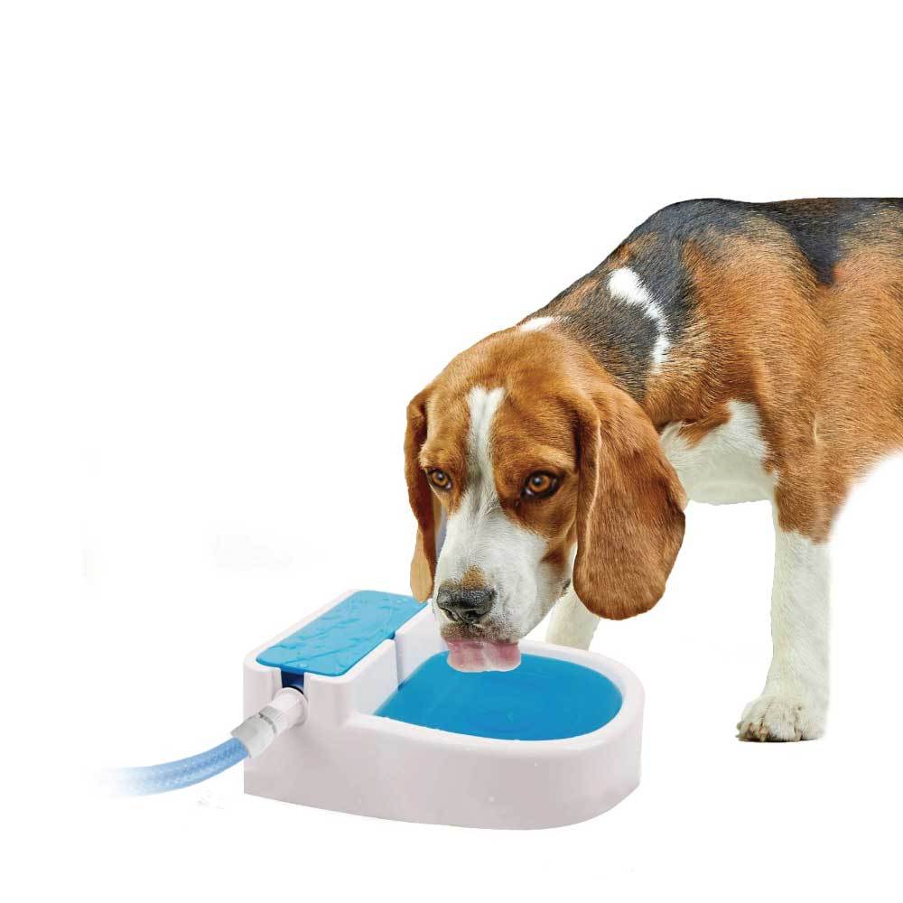 Auto Filling Dog Drinking Water Fountain - Outdoor Automatic Pet Drinking Bowl-1