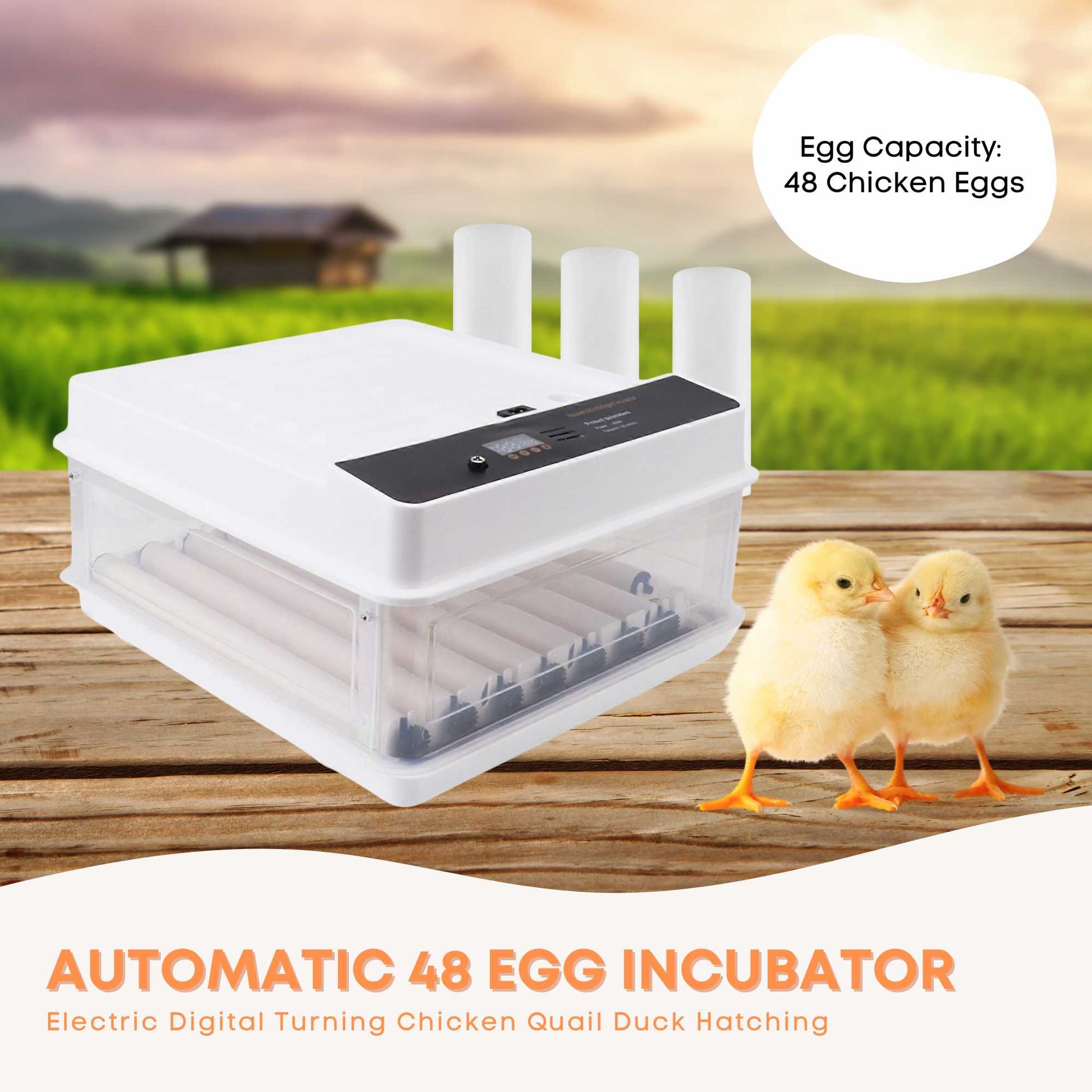 Automatic 70 Egg Incubator - Electric Digital Turning Chicken Quail Duck Hatching-1