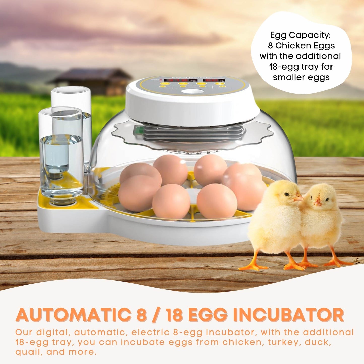 Automatic 8 / 18 Egg Incubator - Electrical Turning Chicken Quail Duck Hatching-1