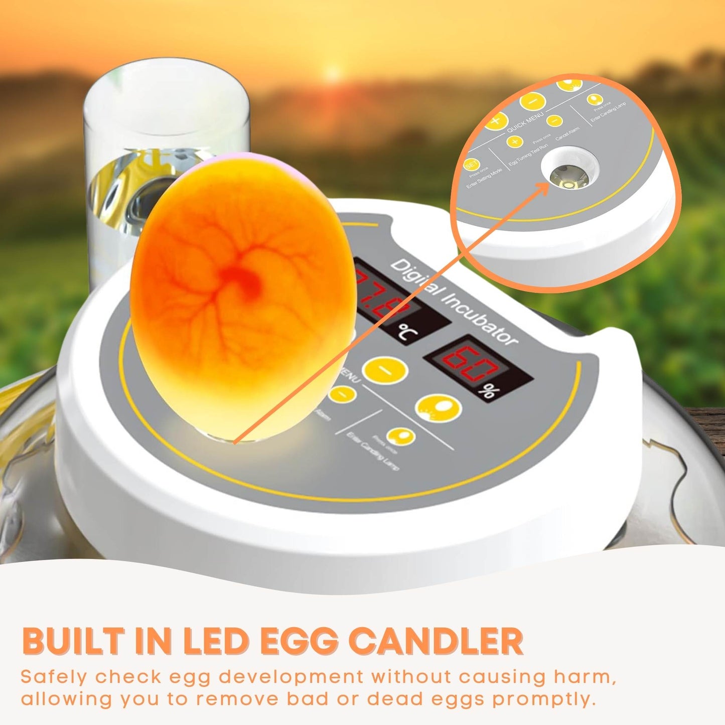 Automatic 8 / 18 Egg Incubator - Electrical Turning Chicken Quail Duck Hatching-4