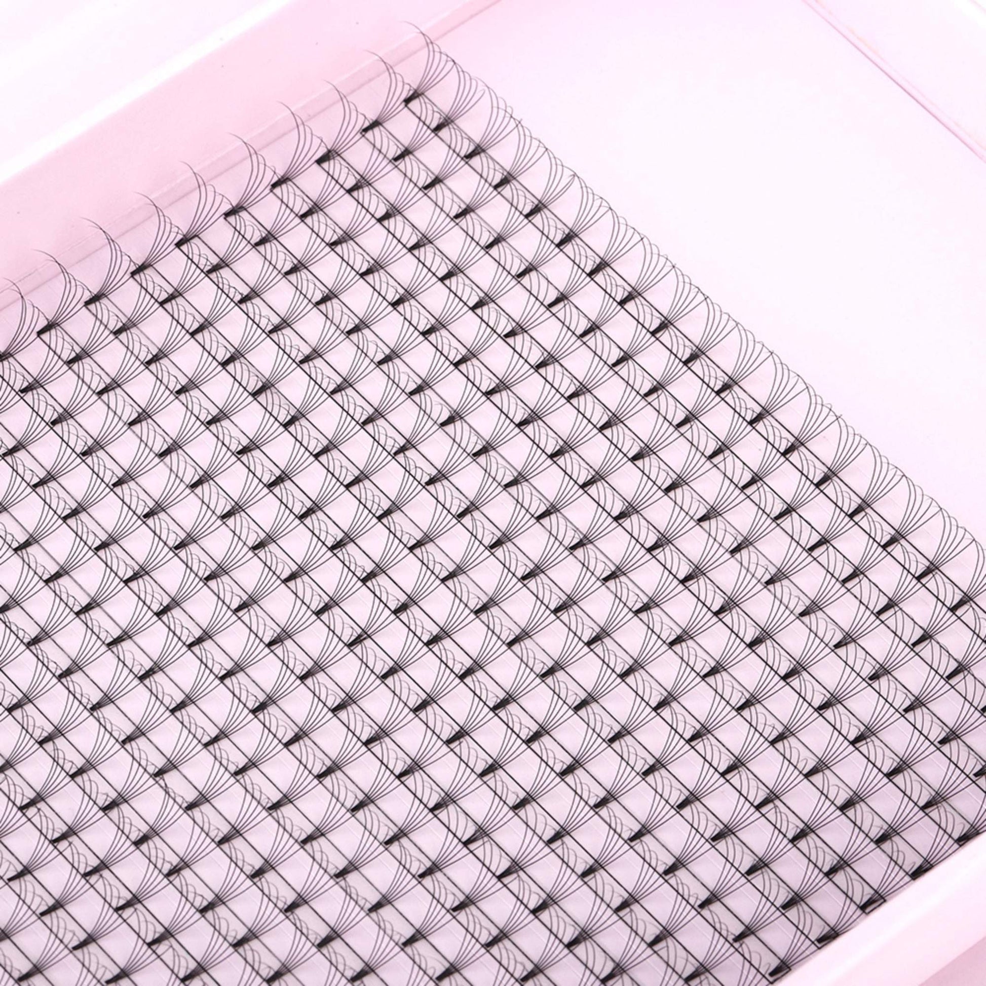 Miosh Eyelash Extensions - XL 5D Premade Volume Short Stem Lash 0.10 / D CURL-4
